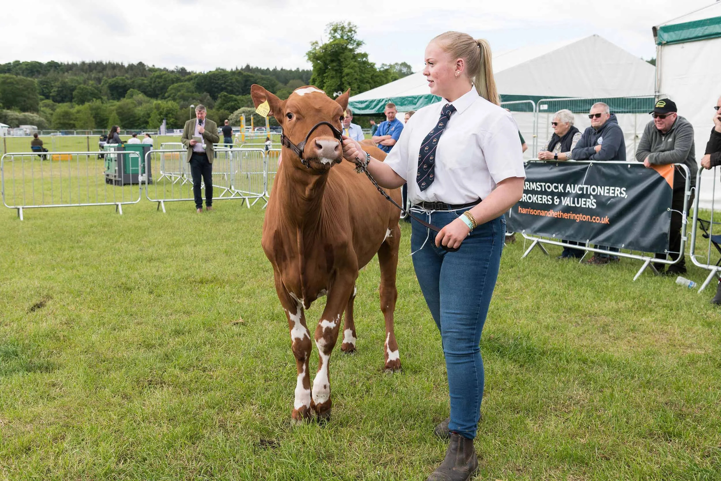 Northumberland County Show