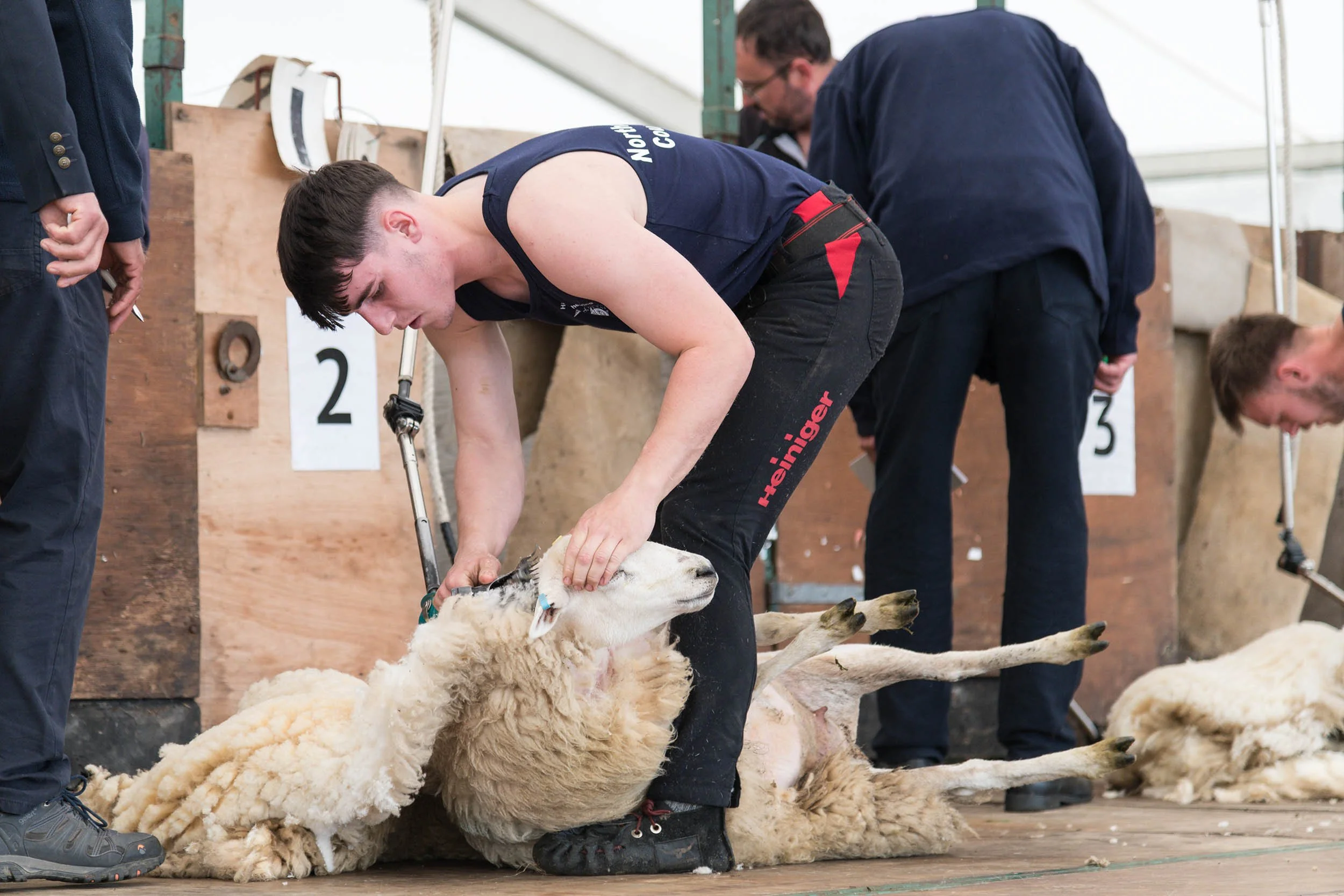 Northumberland County Show