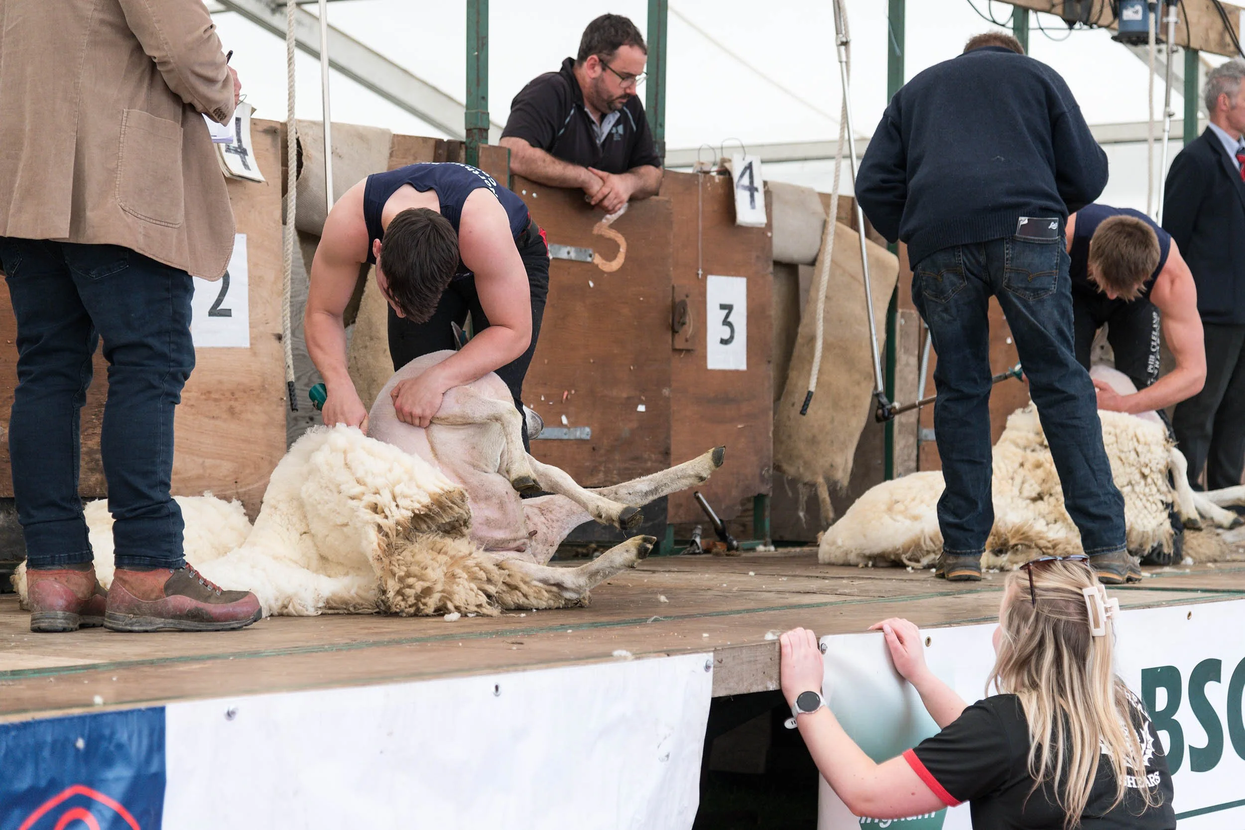 Northumberland County Show
