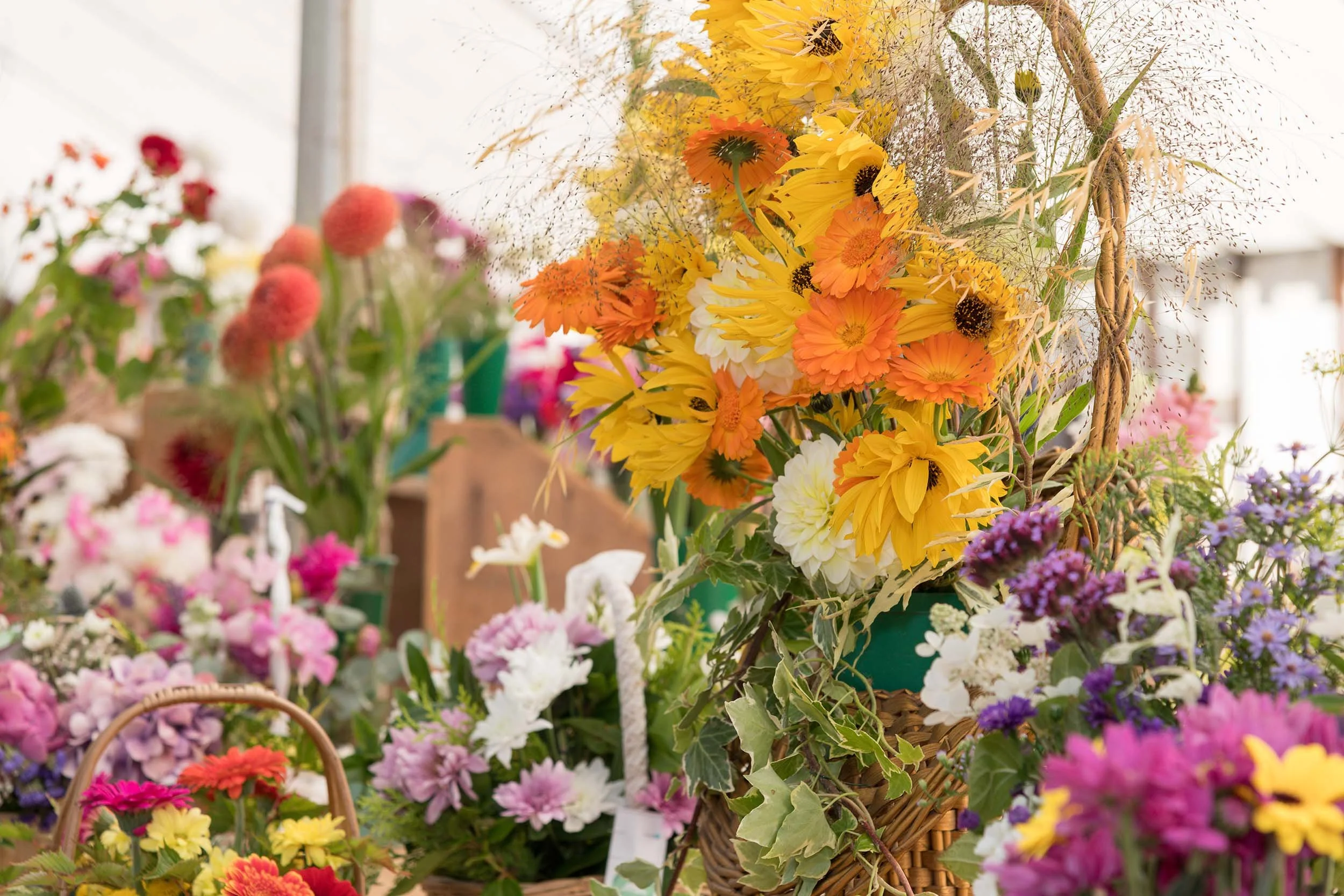 Thropton-Show 0025.jpg