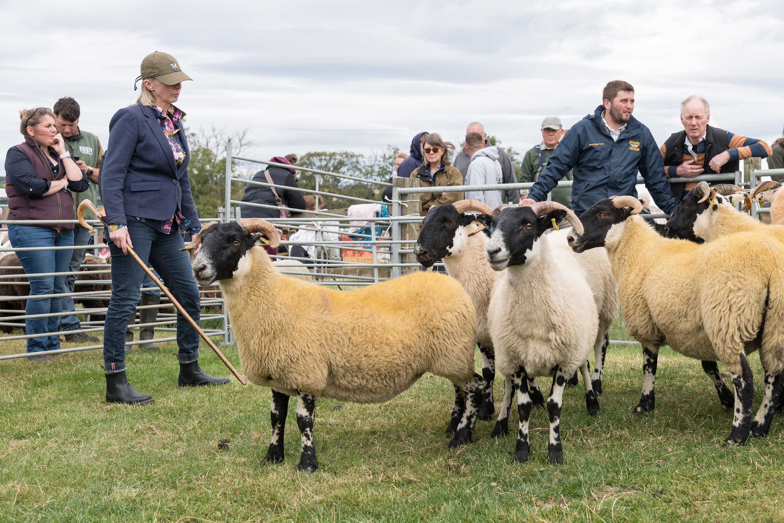 Simonside-Country-Fair 1139.jpg