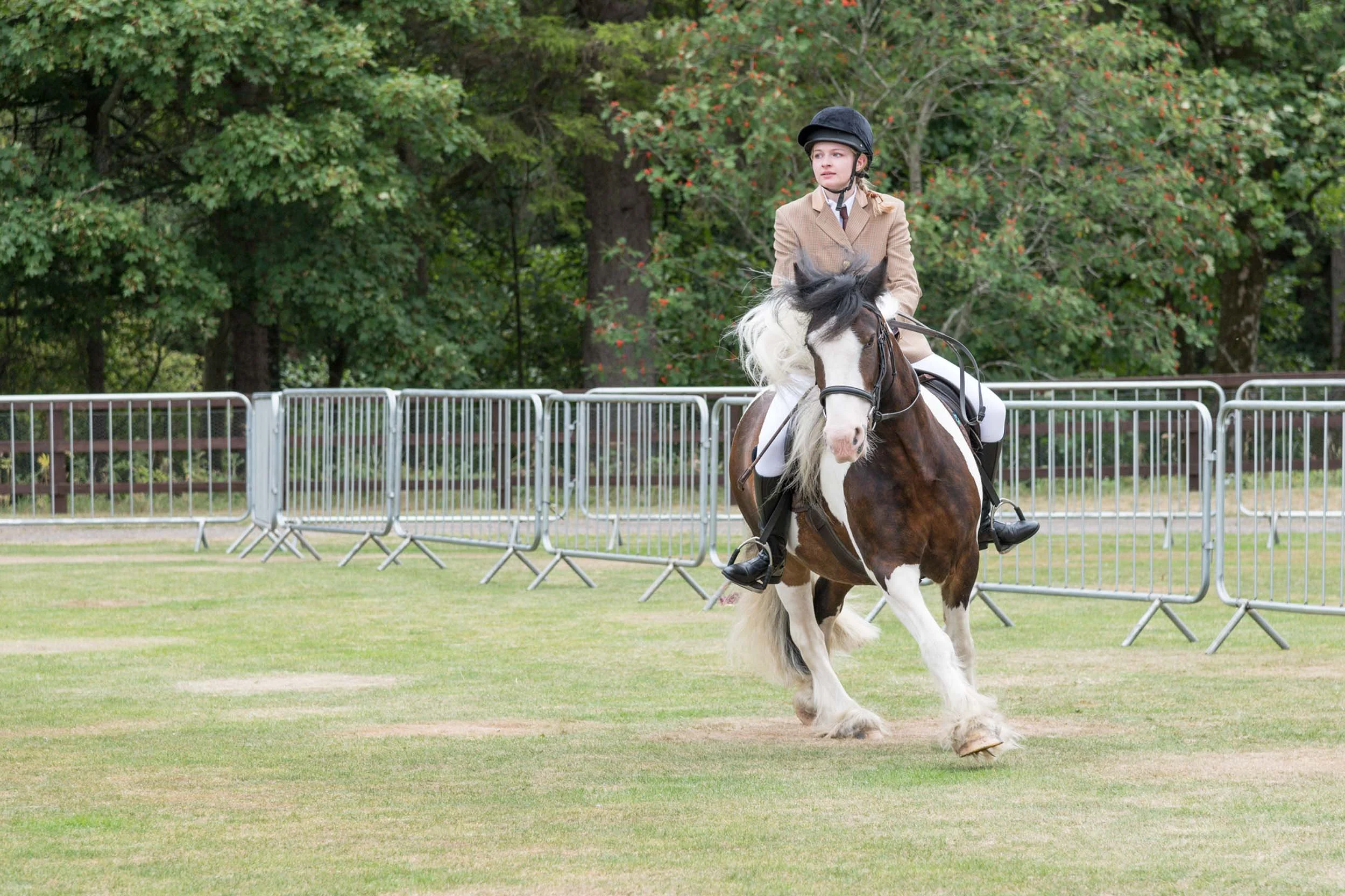 Allendale-Agricultural-Show 0214.jpg