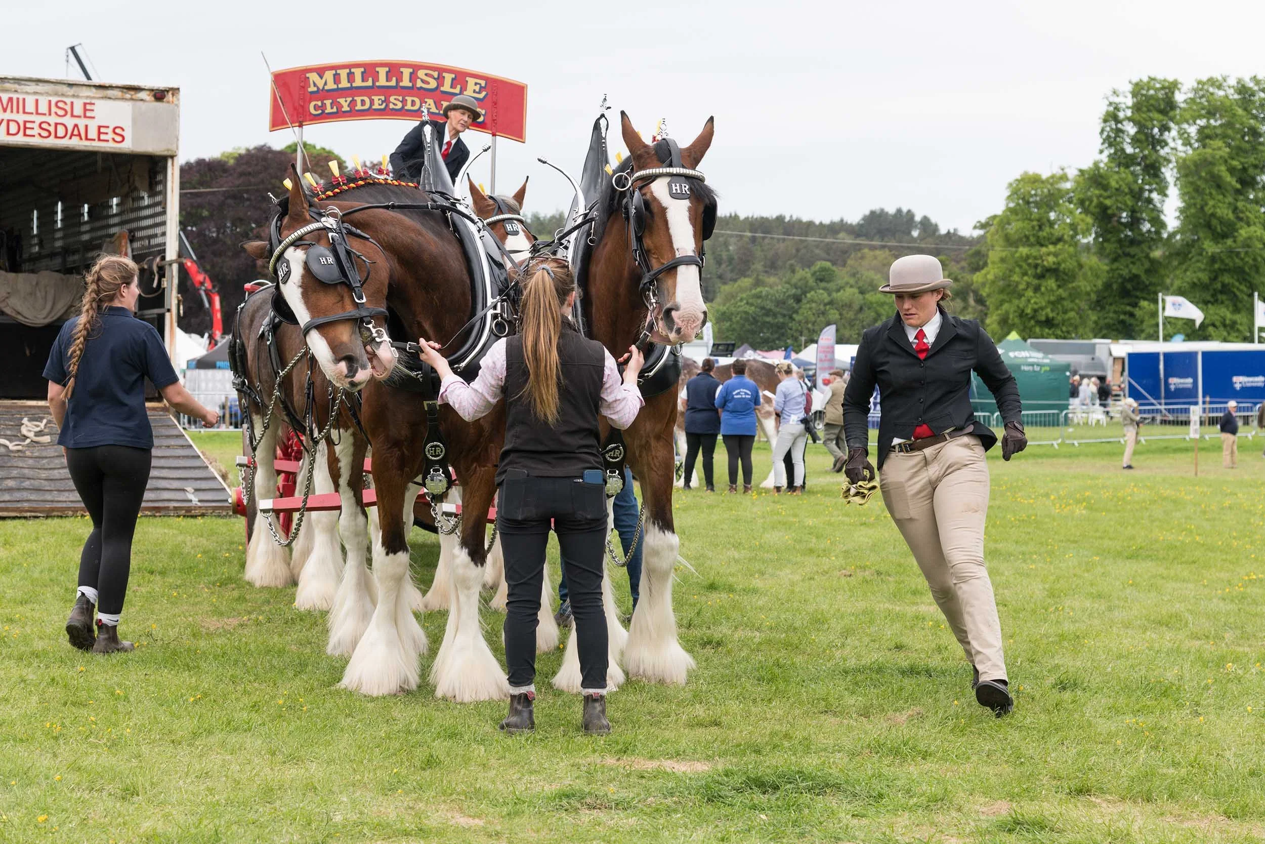 Northumberland County Show
