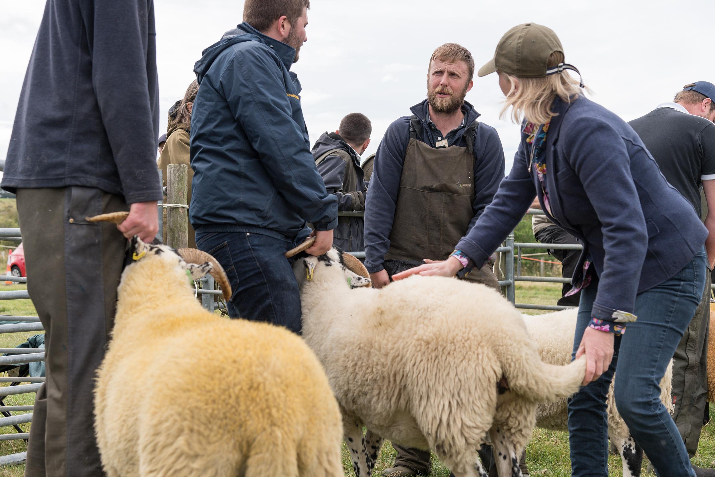 Simonside-Country-Fair 1177.jpg