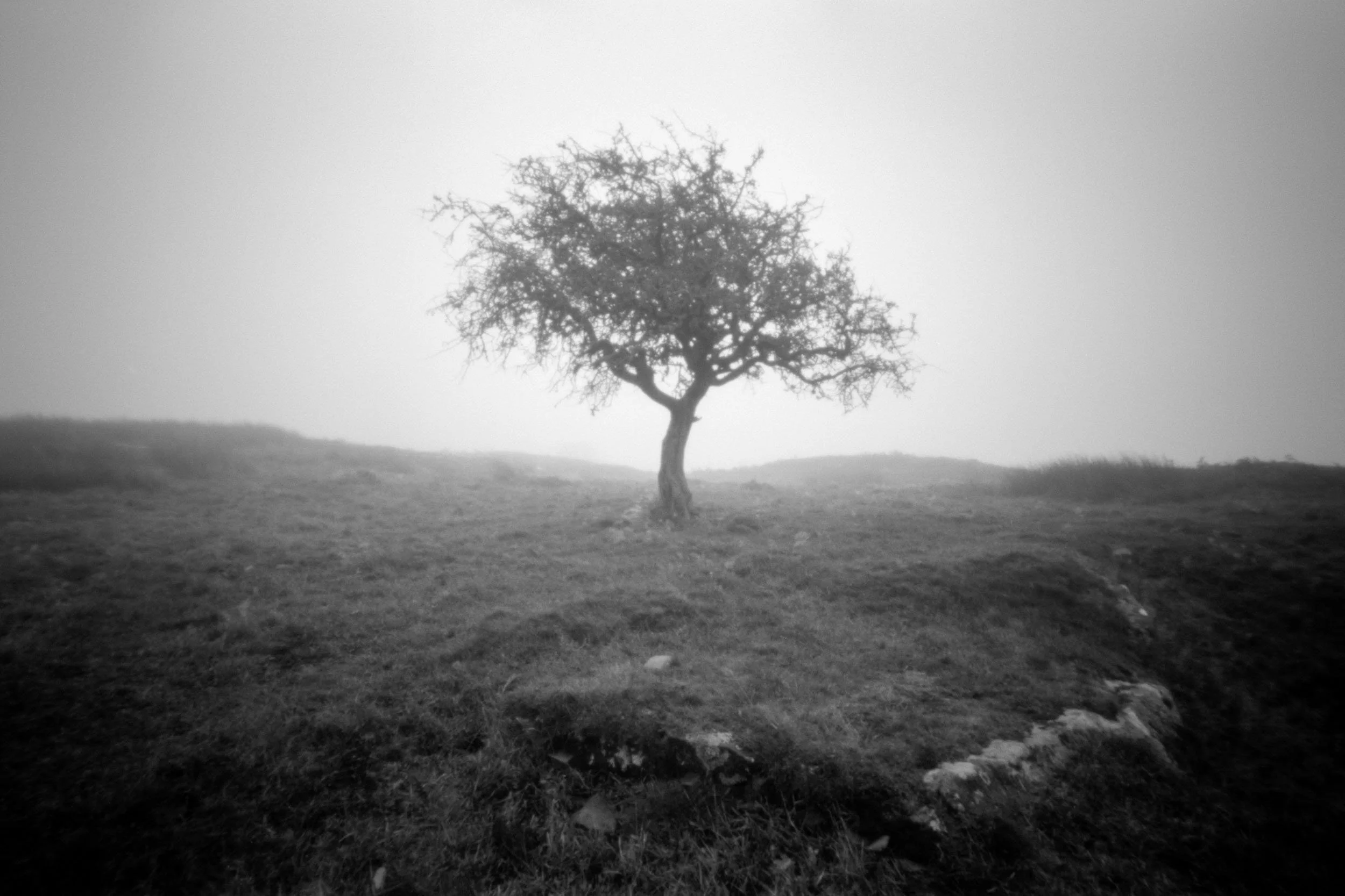 Rothley Crags - Pinhole