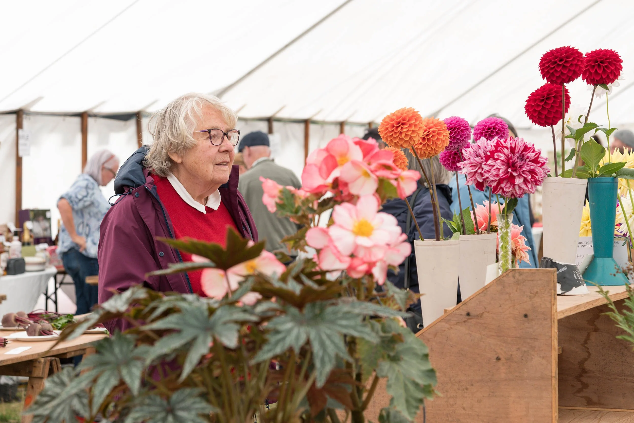 Thropton-Show 0359.jpg