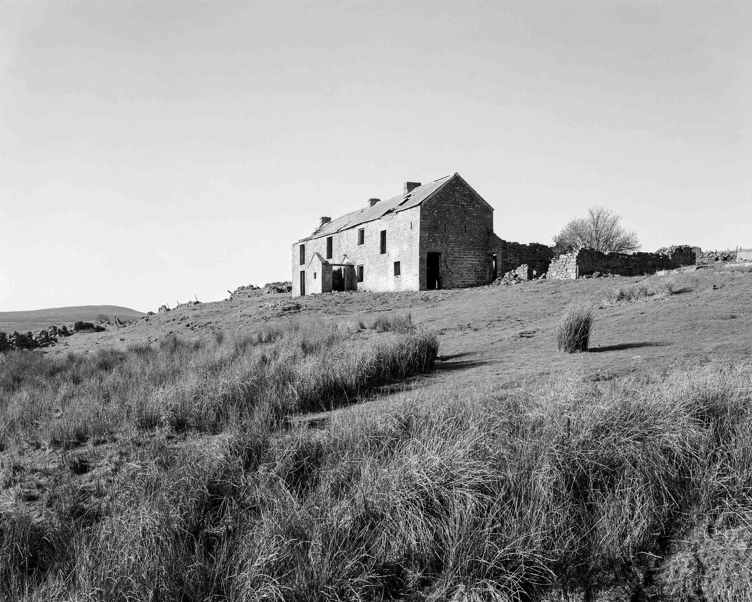 Belmount Farm - Large Format