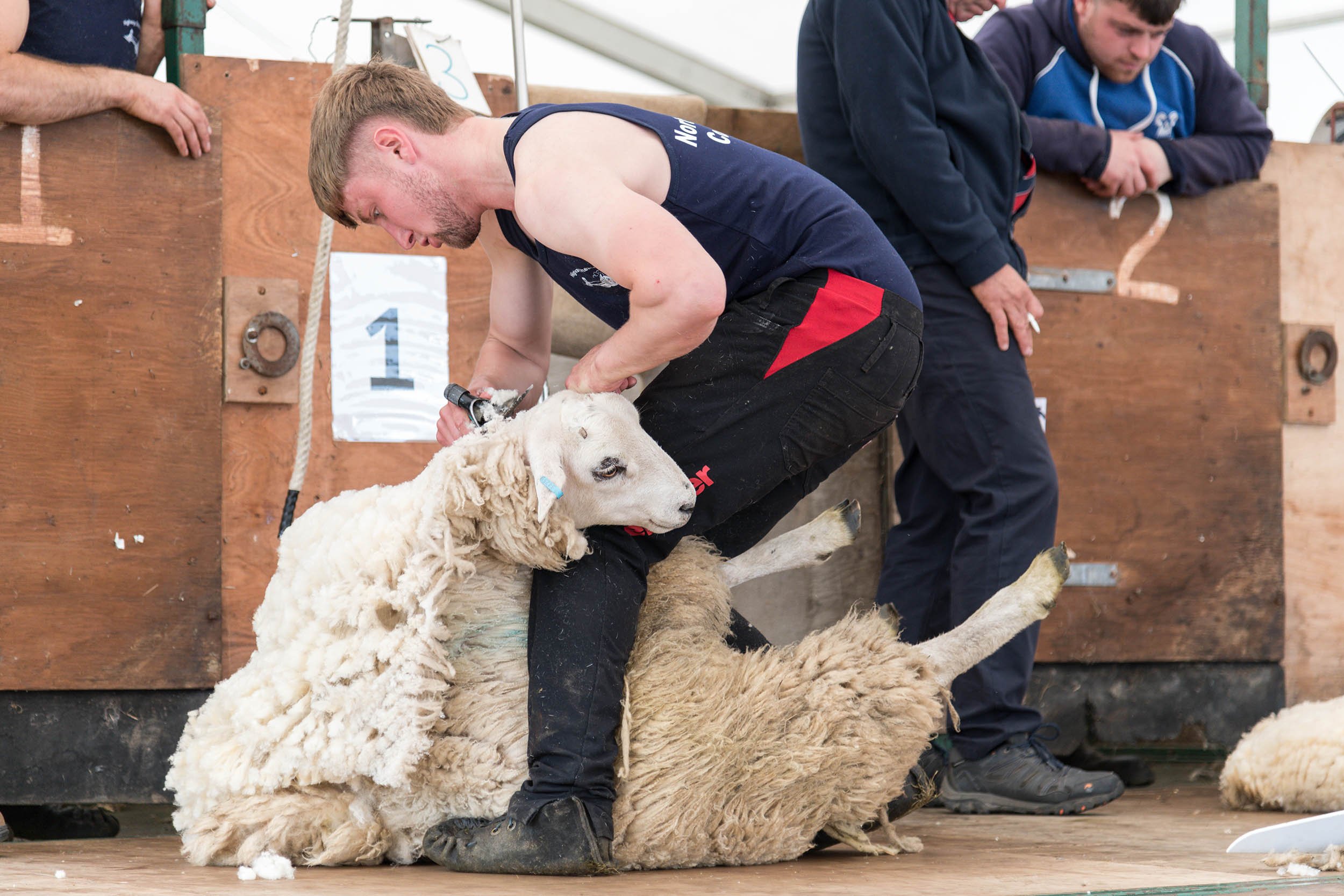 Northumberland County Show