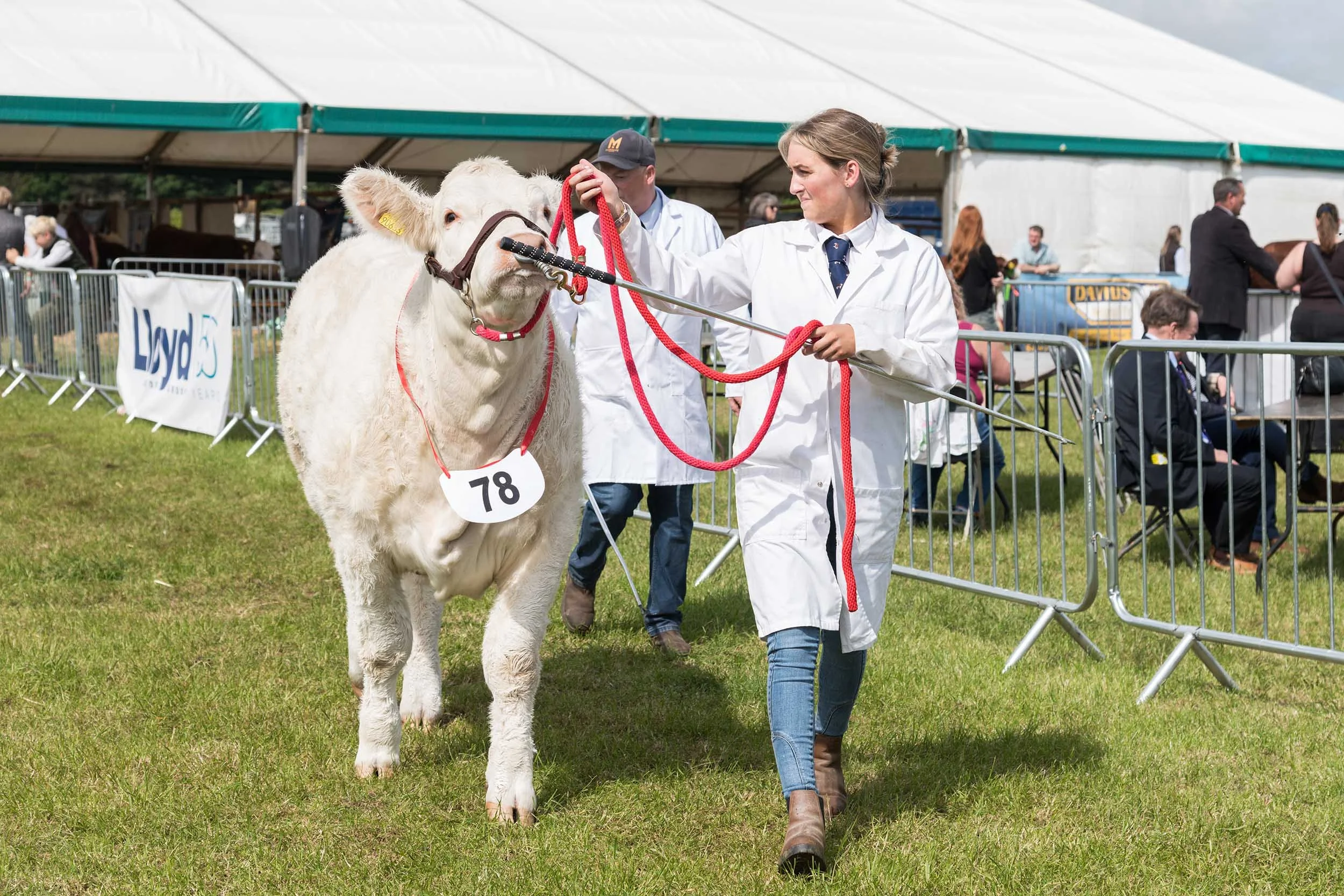 Northumberland County Show