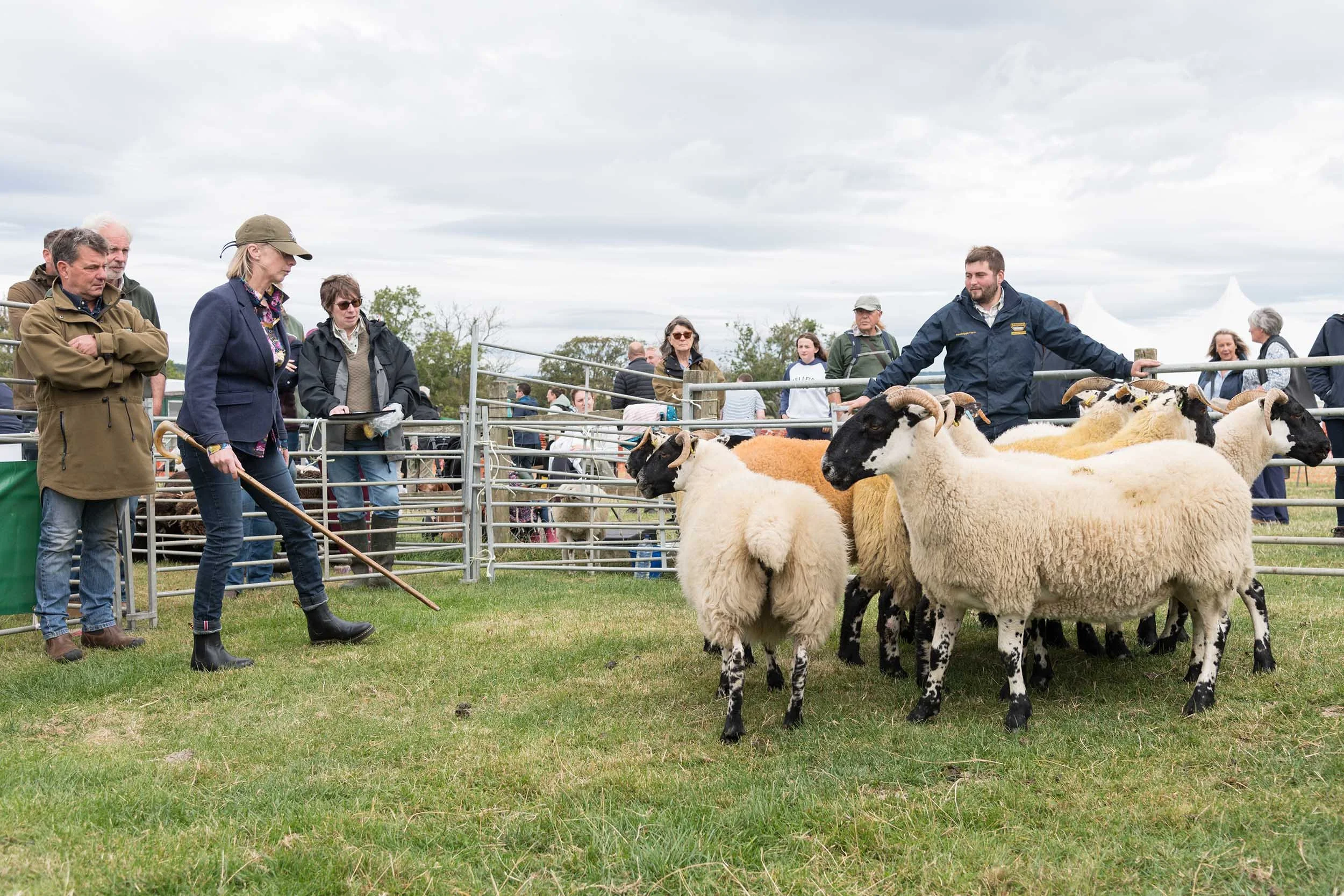 Simonside-Country-Fair 1126.jpg