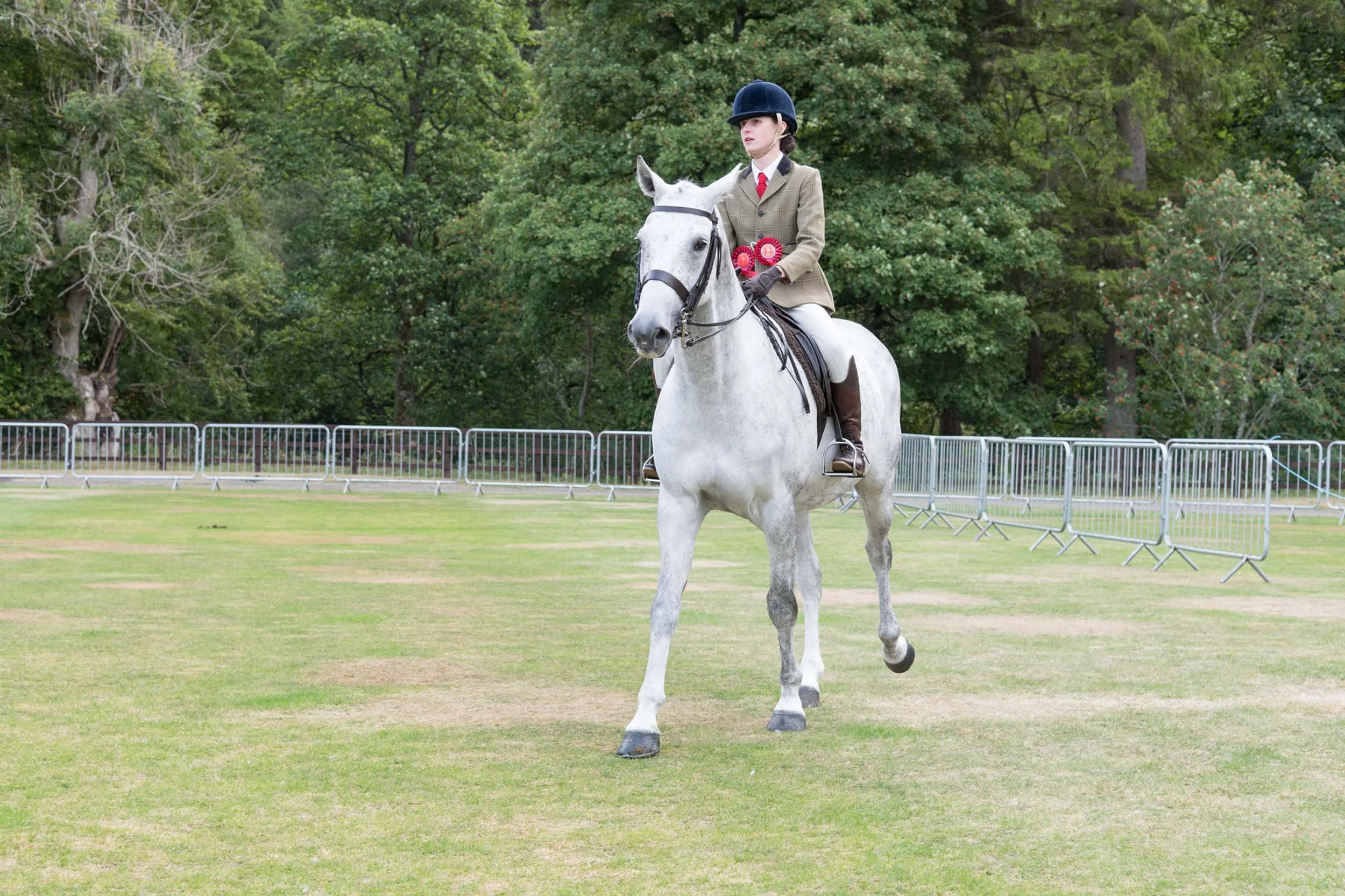 Allendale-Agricultural-Show 0074.jpg