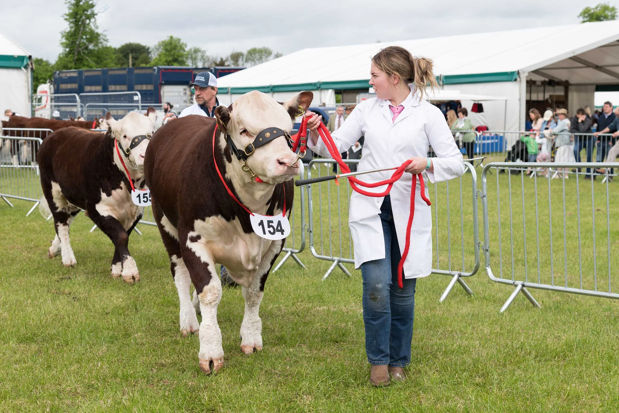 Northumberland County Show