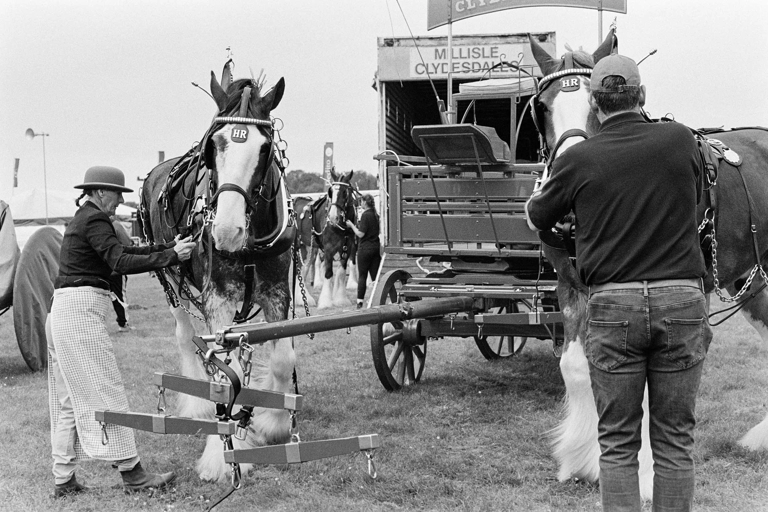 Black and white photo of a horse being groomed or prepared for a show, with handlers and equipment around it at an outdoor event.