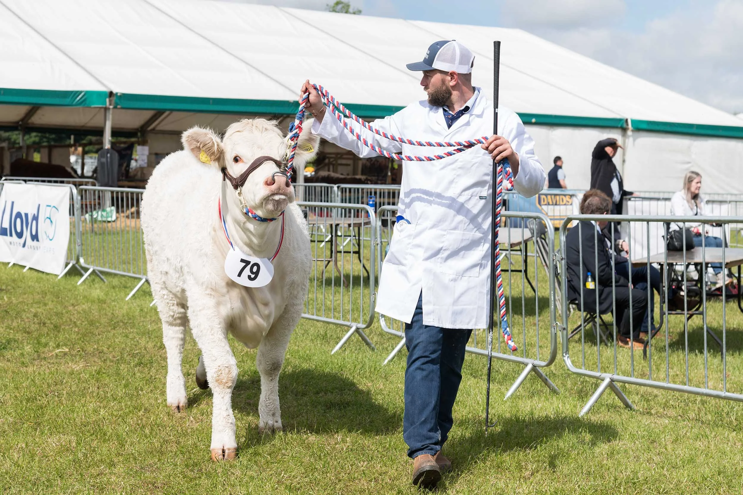 Northumberland County Show