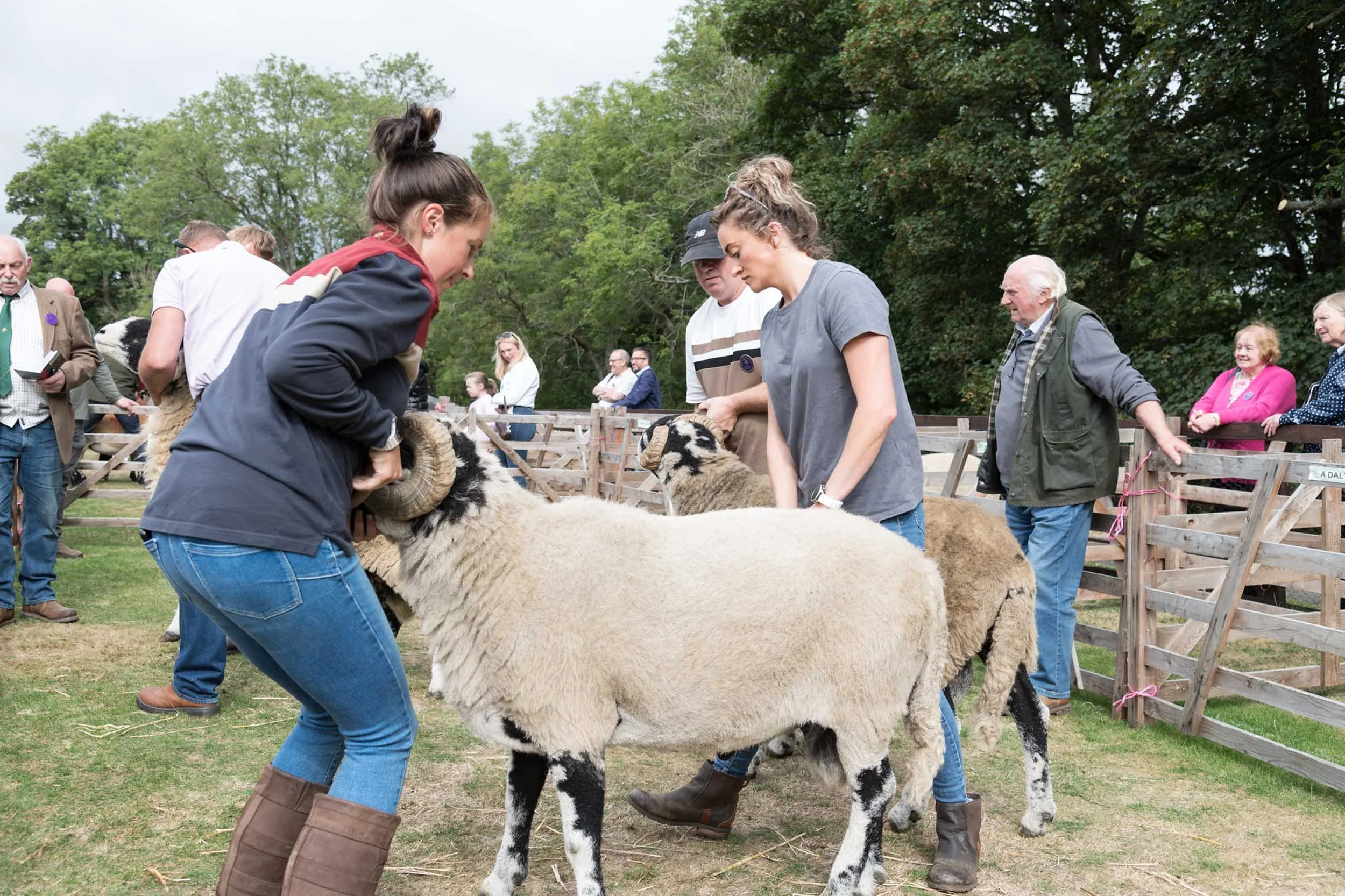 Allendale-Agricultural-Show 0204.jpg