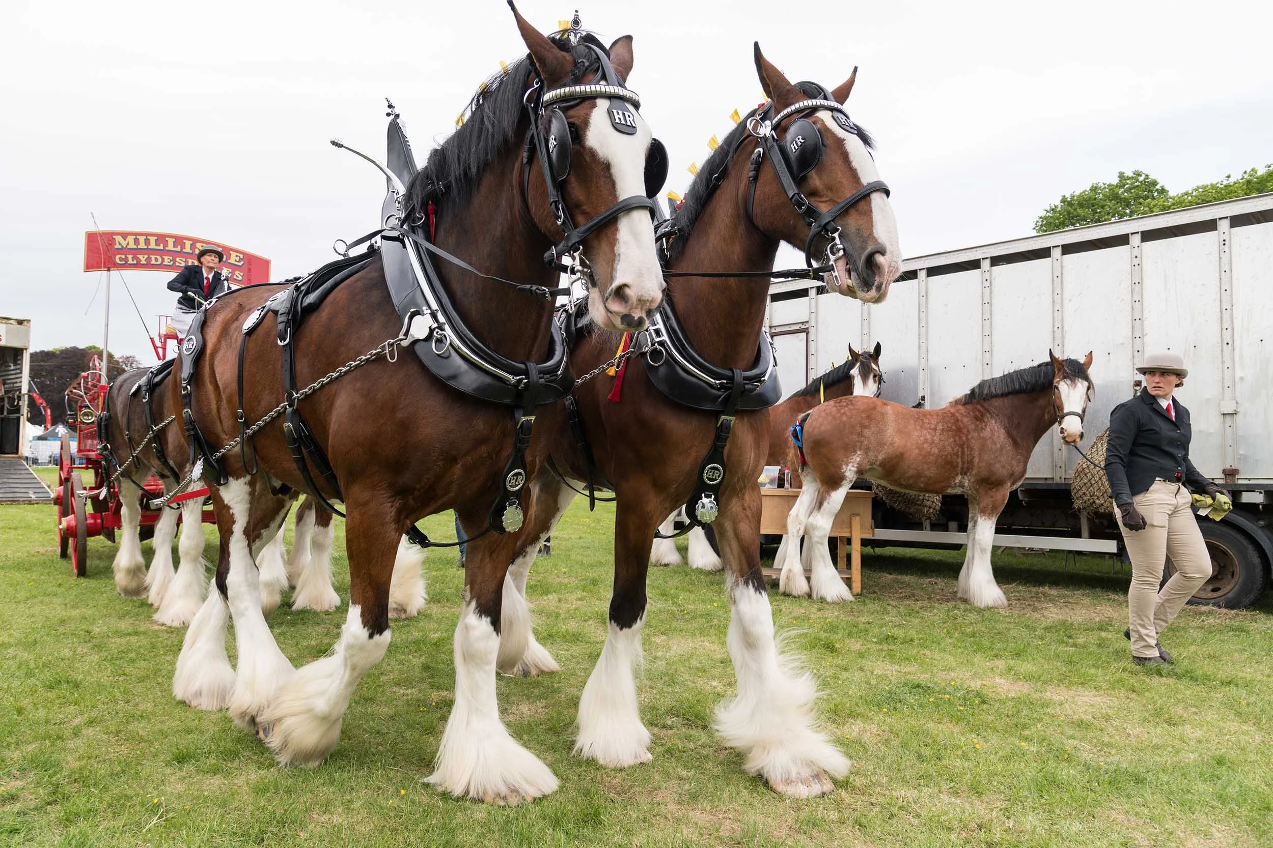 Northumberland County Show