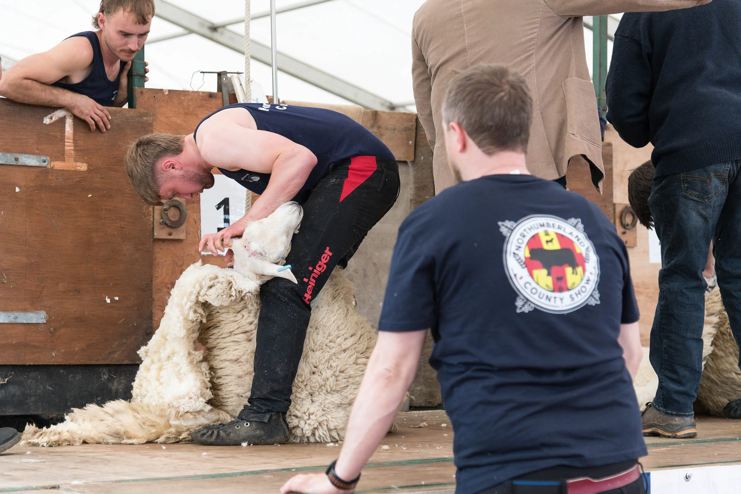 Northumberland County Show