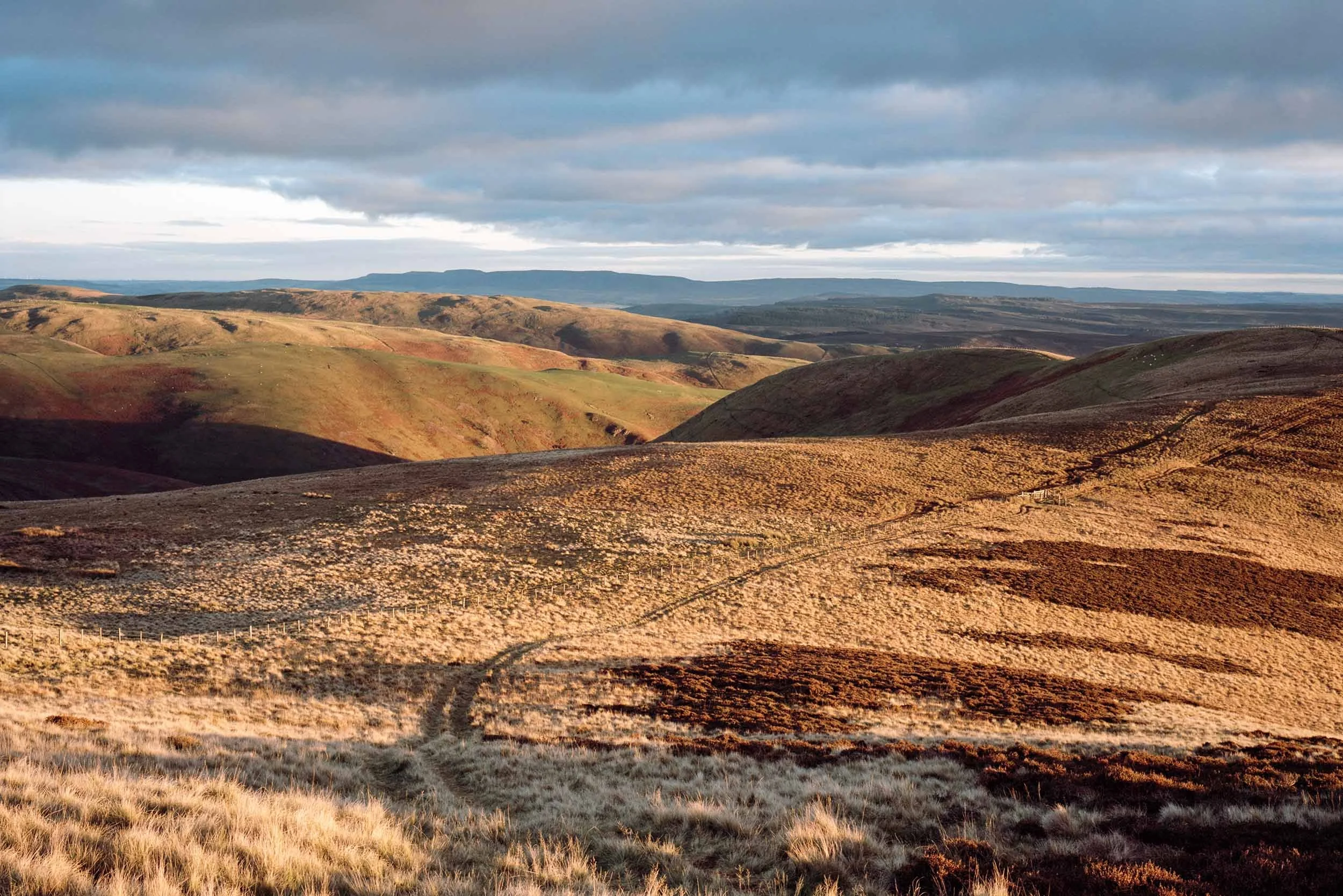 Shillhope-Law-Upper-Coquetdale.jpg
