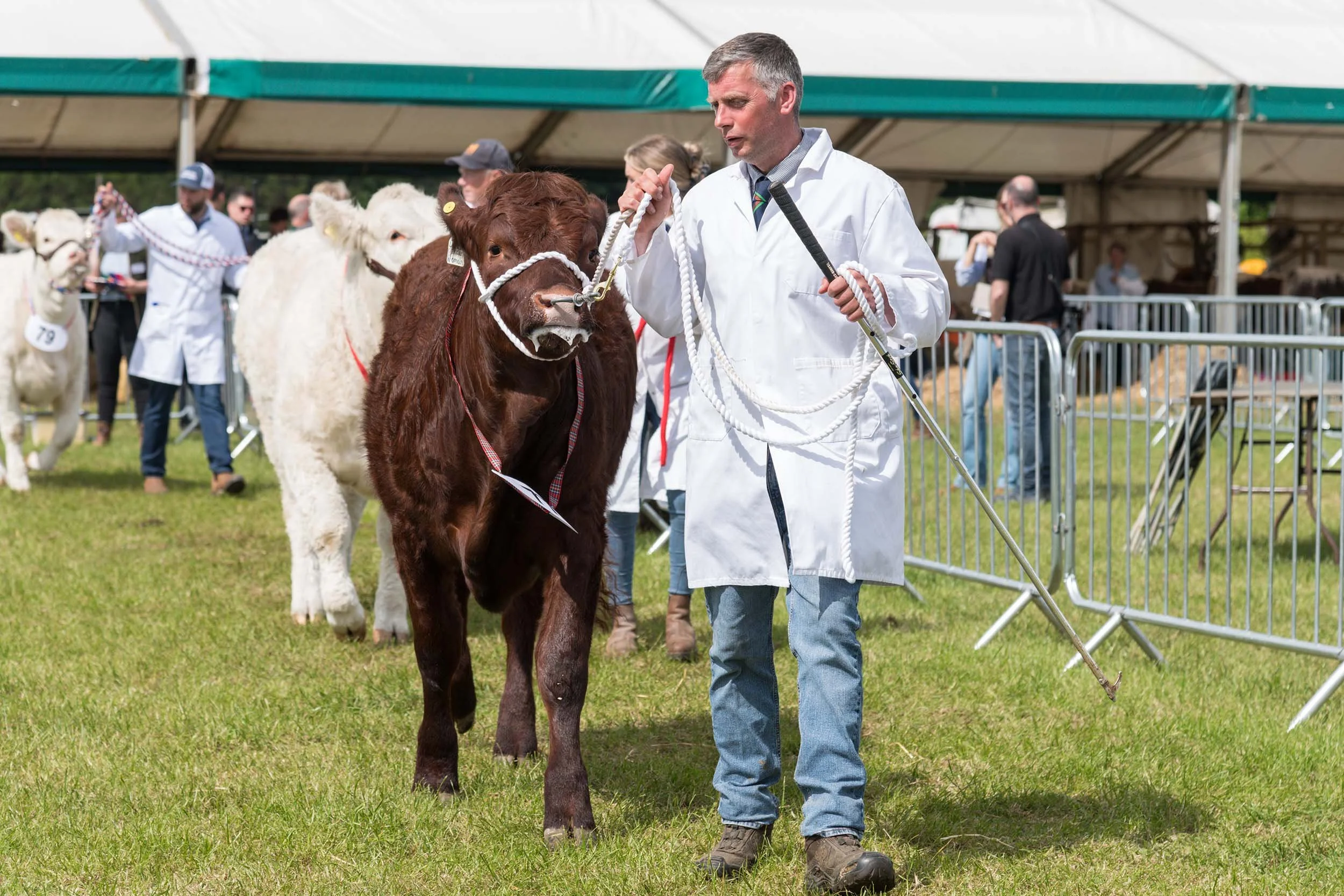 Northumberland County Show