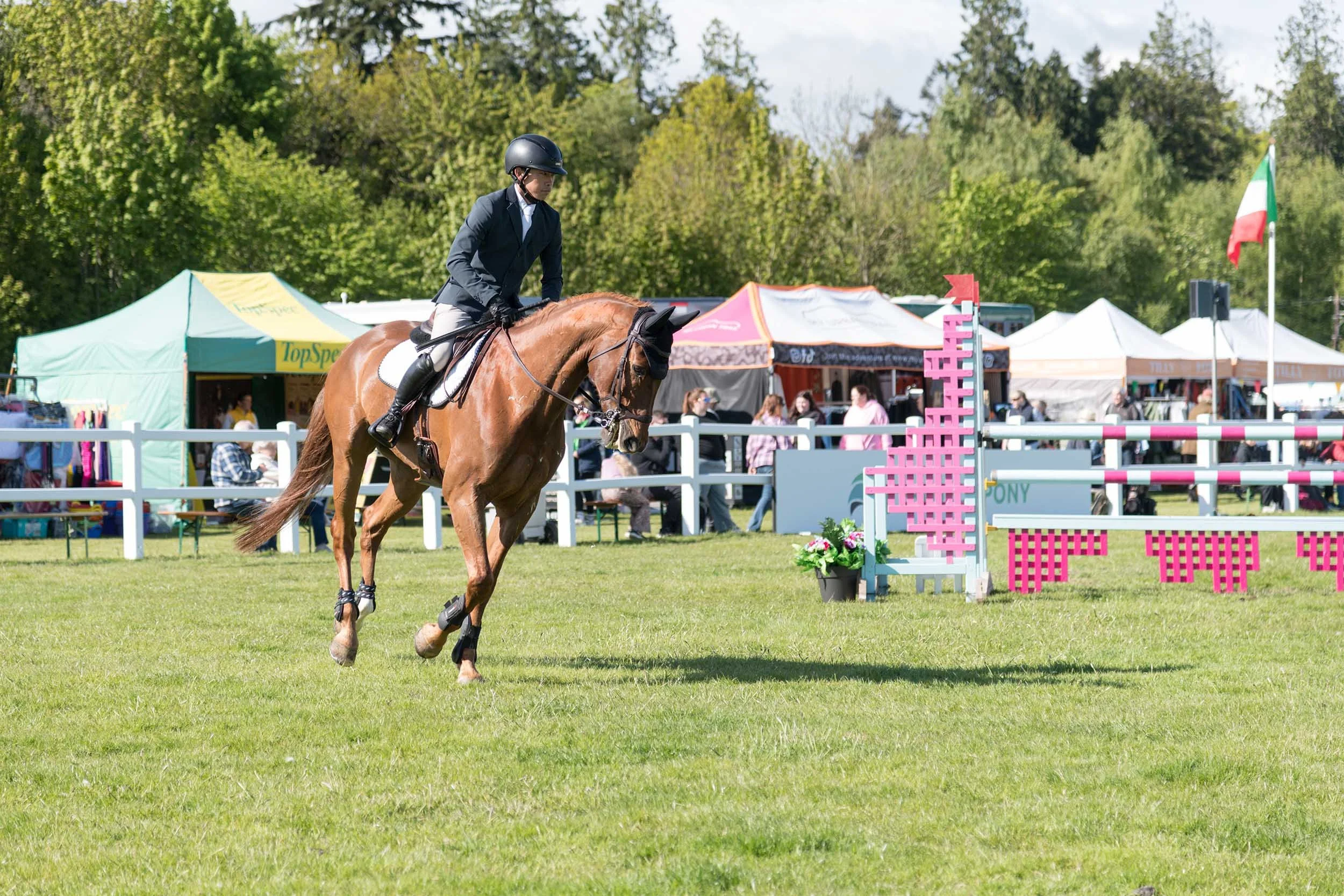 Belsay Horse Trials