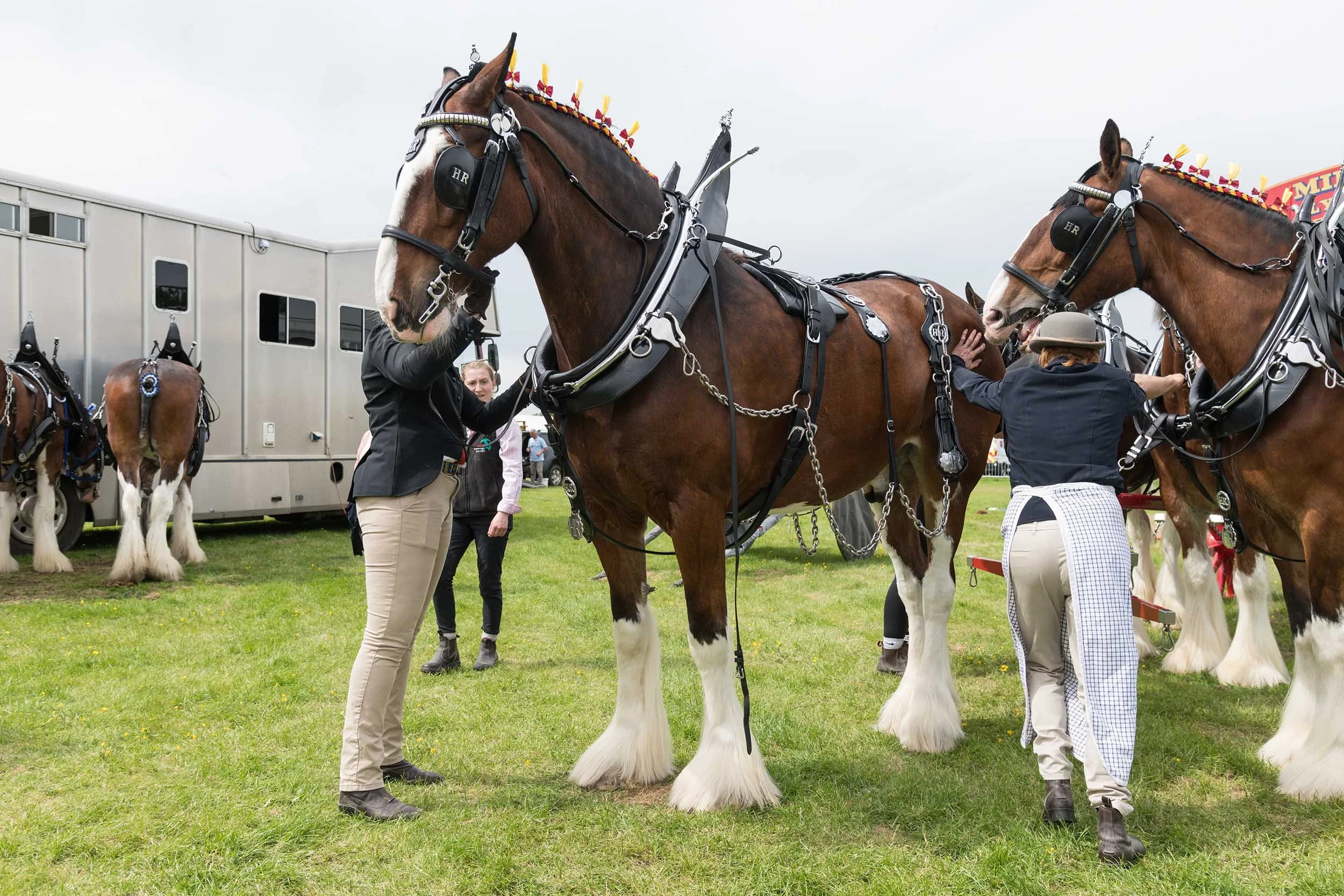 Northumberland County Show