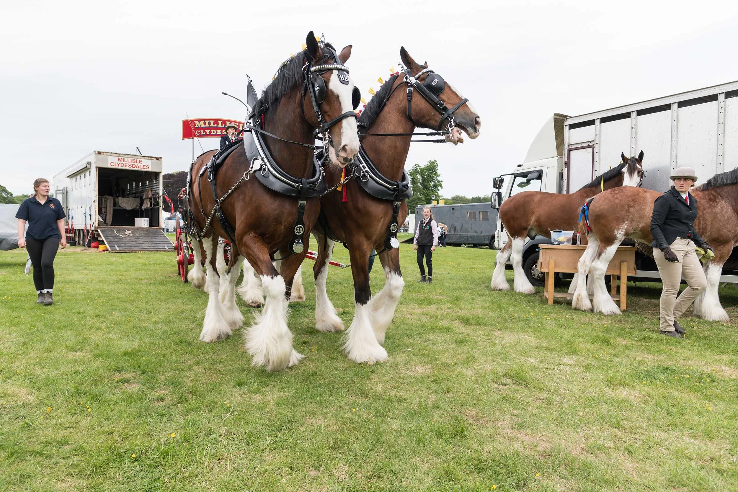 Northumberland County Show