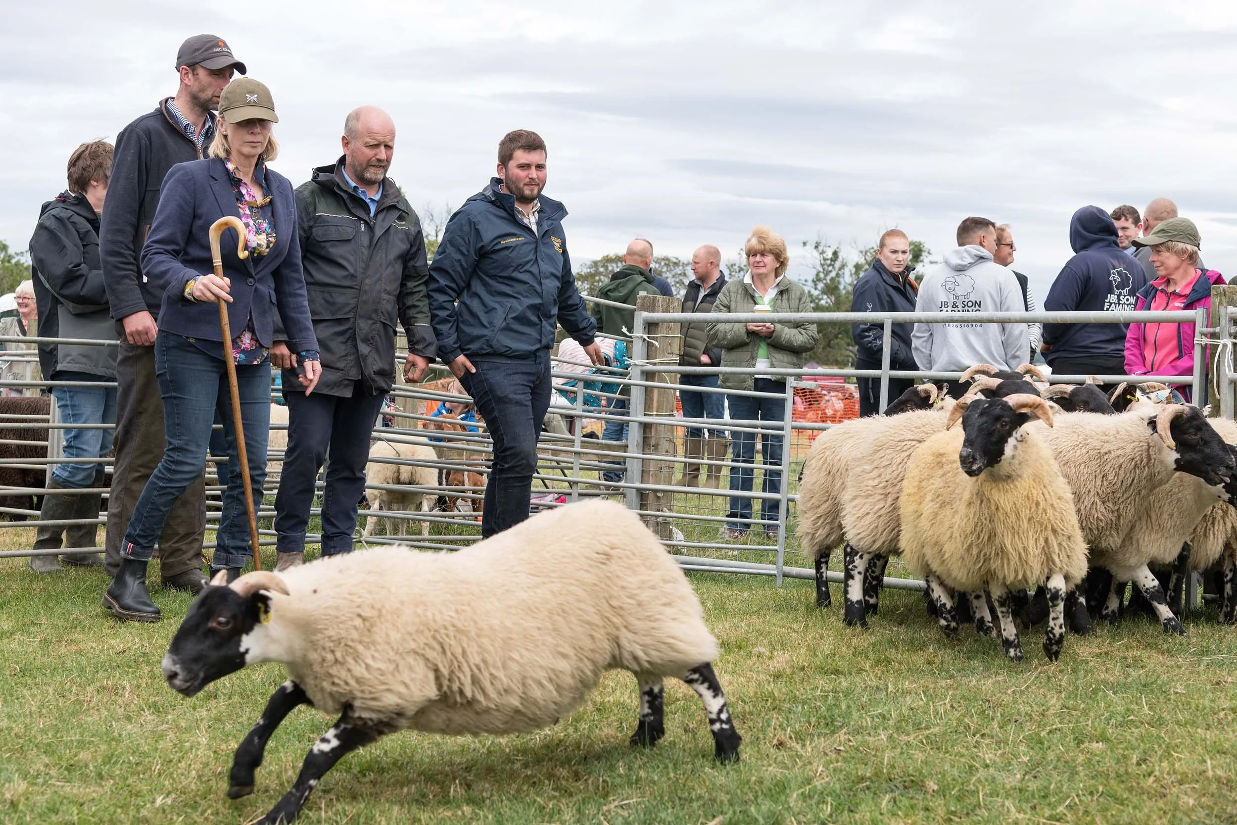 Simonside-Country-Fair 1202.jpg
