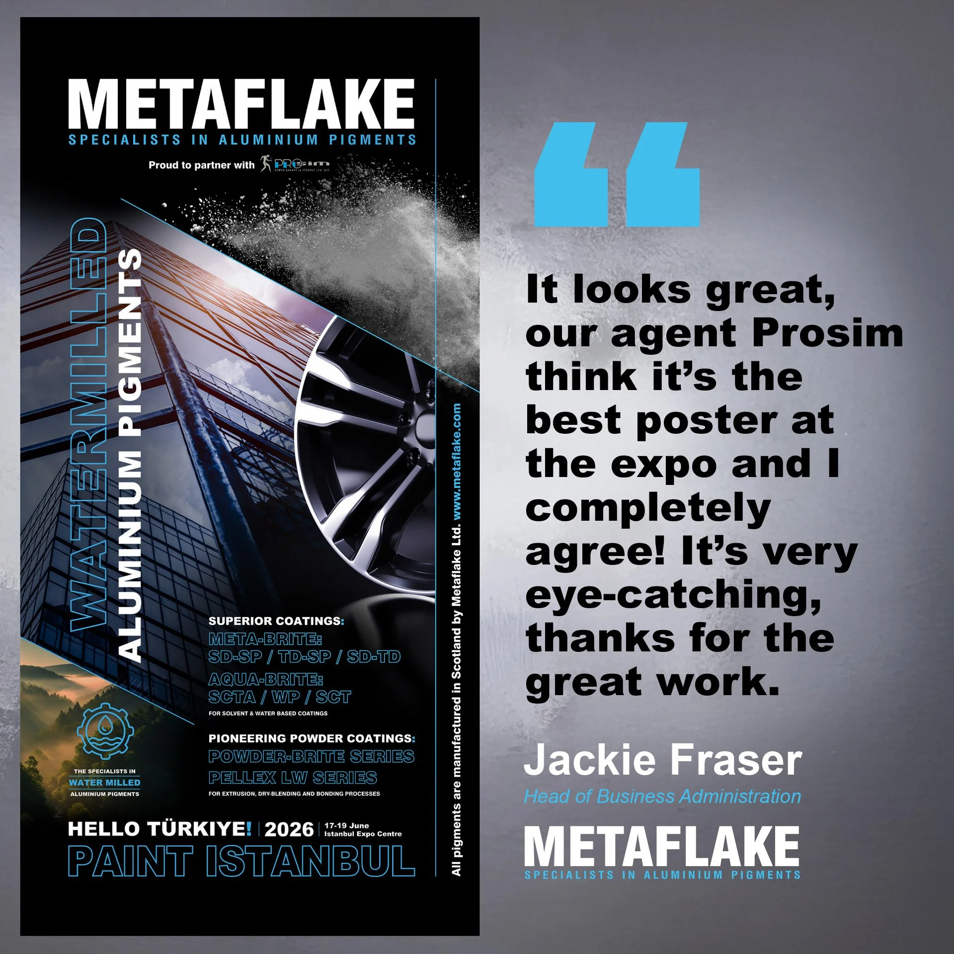 Metaflake Paint Istanbul 01b.jpg