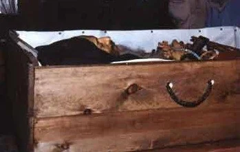 St. Seraphim of Platina