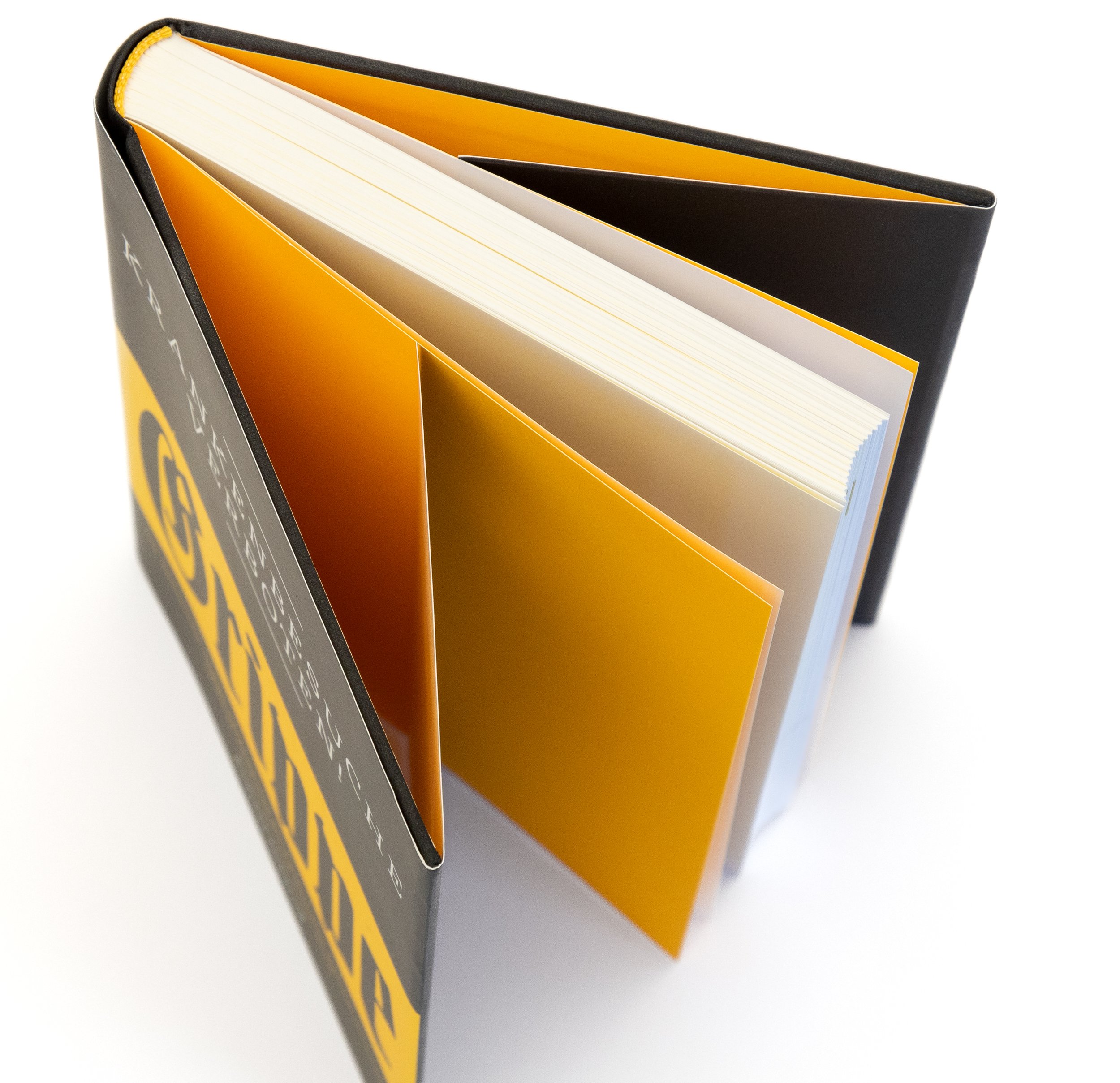 Buch mit Schutzumschlag