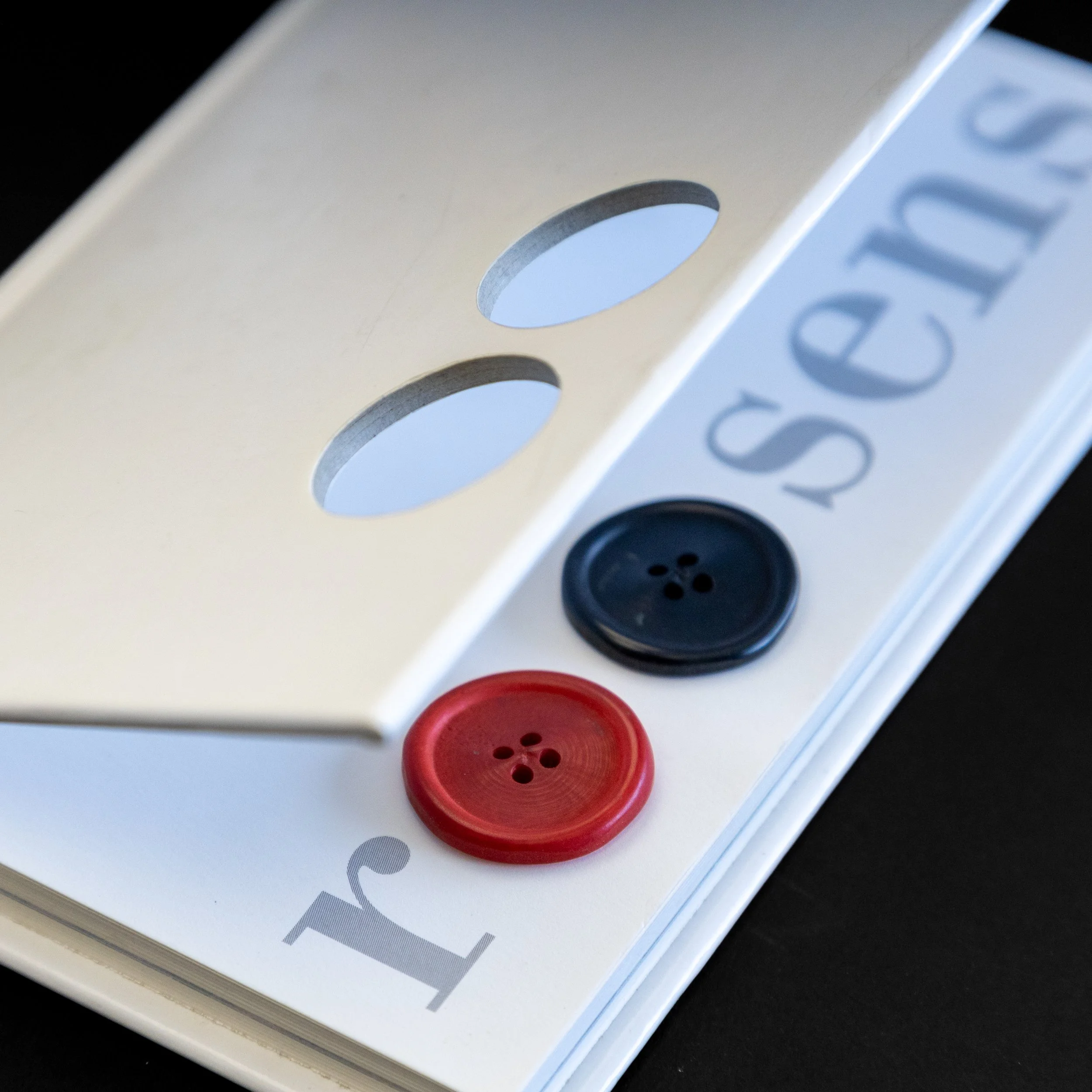 Stanzungen an Buchdecken