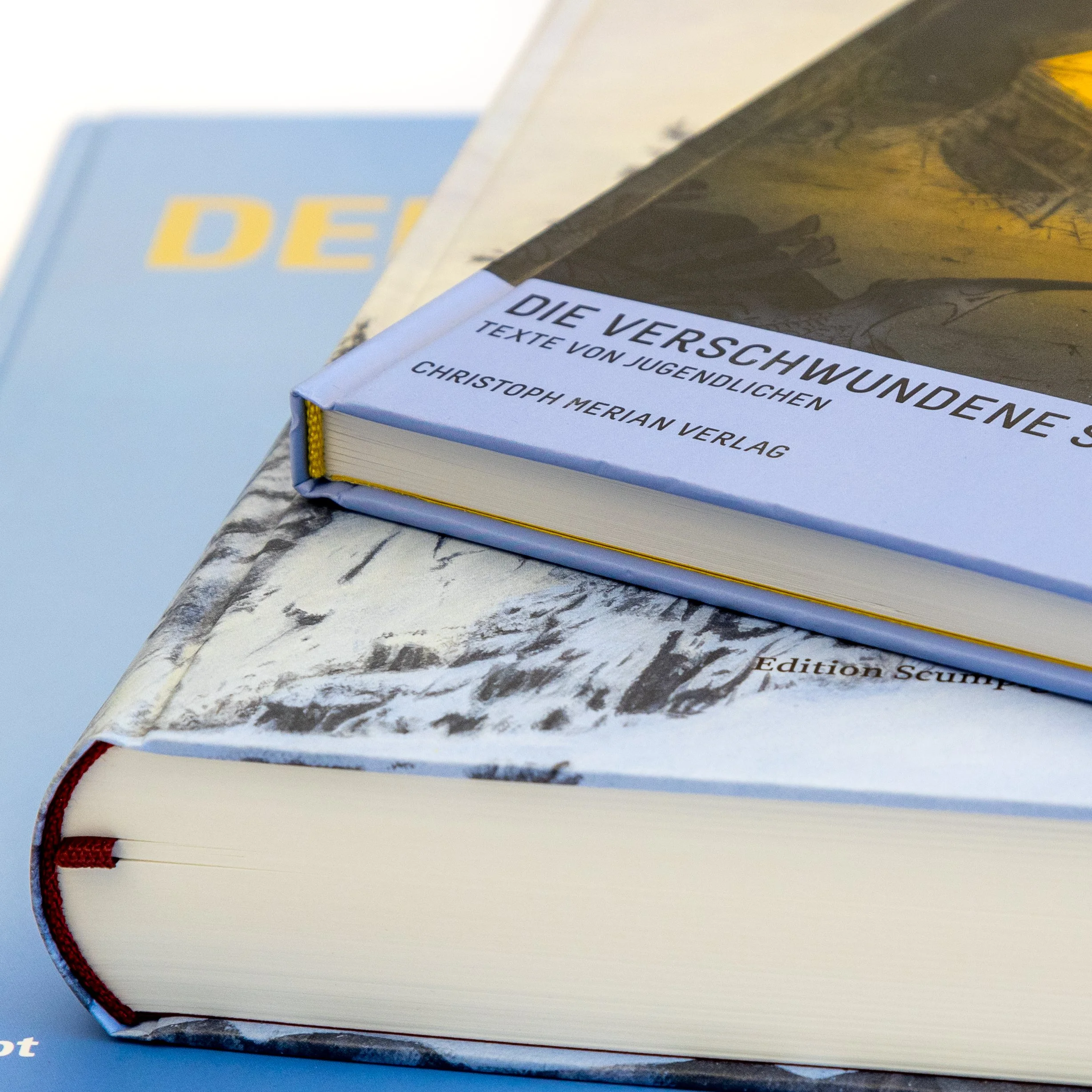 Buch mit Pappband