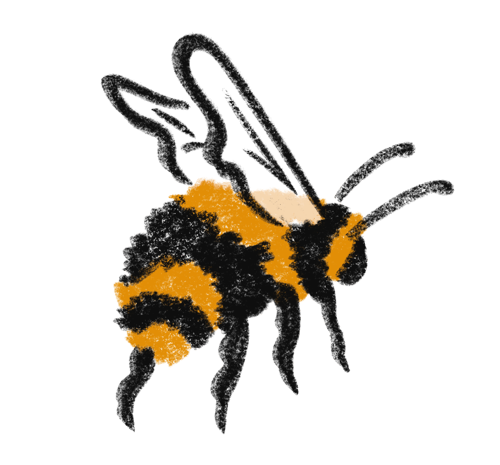 Sandy van Helden spot illustration of a bee — created for Bimba Y Lola window display, nature-inspired series