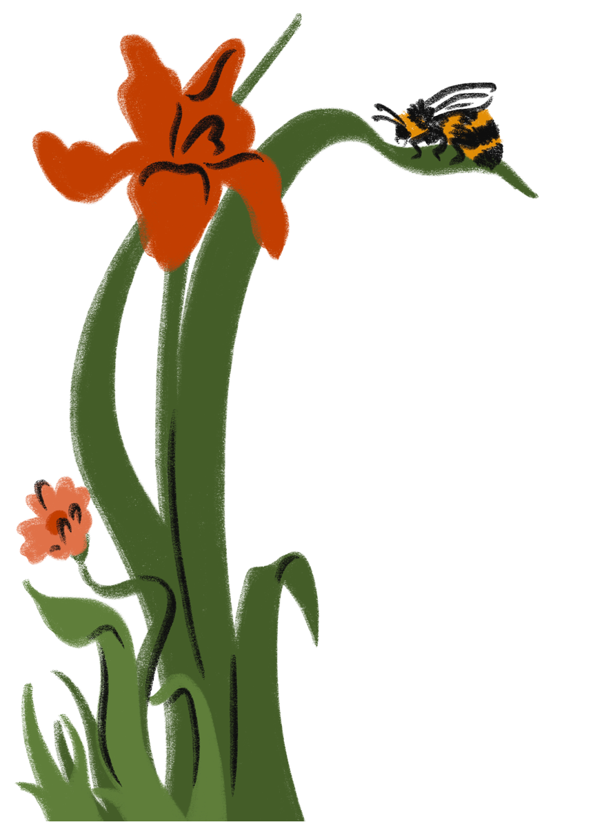 Sandy van Helden illustrated flowers and nature elements for Bimba Y Lola window dressing Amsterdam