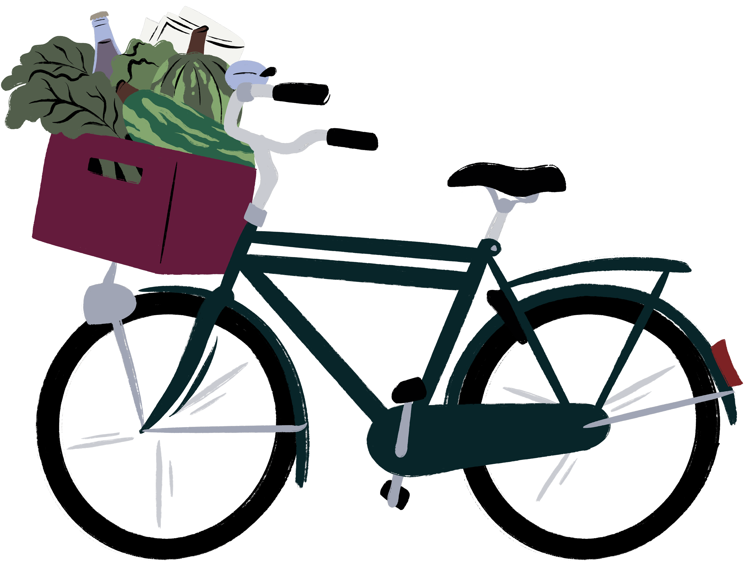 A green bike with a purple crate, filled with local Amsterdam products, illustrated by Sandy van Helden