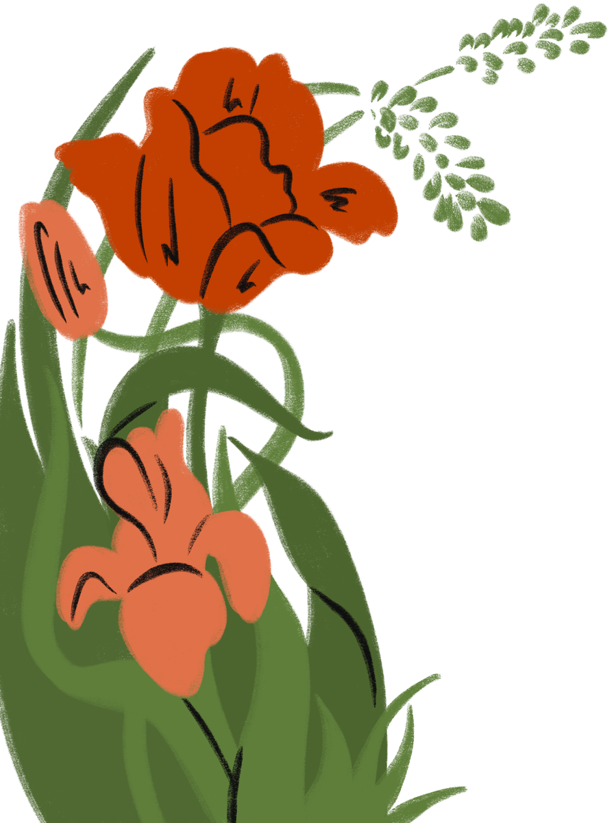 Sandy van Helden spot illustration — nature detail created for Bimba Y Lola window display series