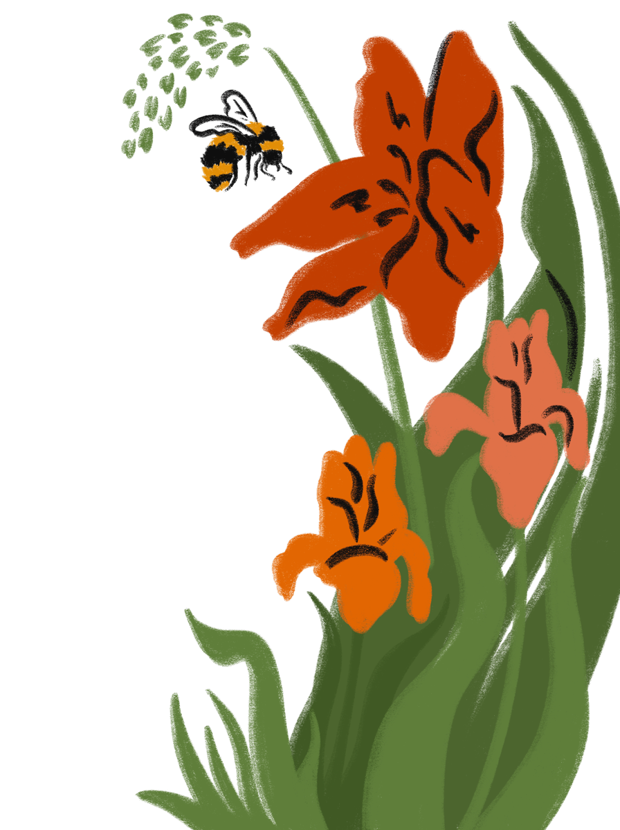Sandy van Helden illustrated botanical spot illustration for Bimba Y Lola Amsterdam, in collaboration with Spice PR