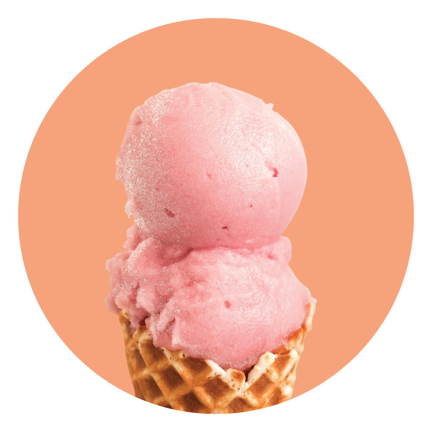 Cranberry Ginger Ale Sorbet.png