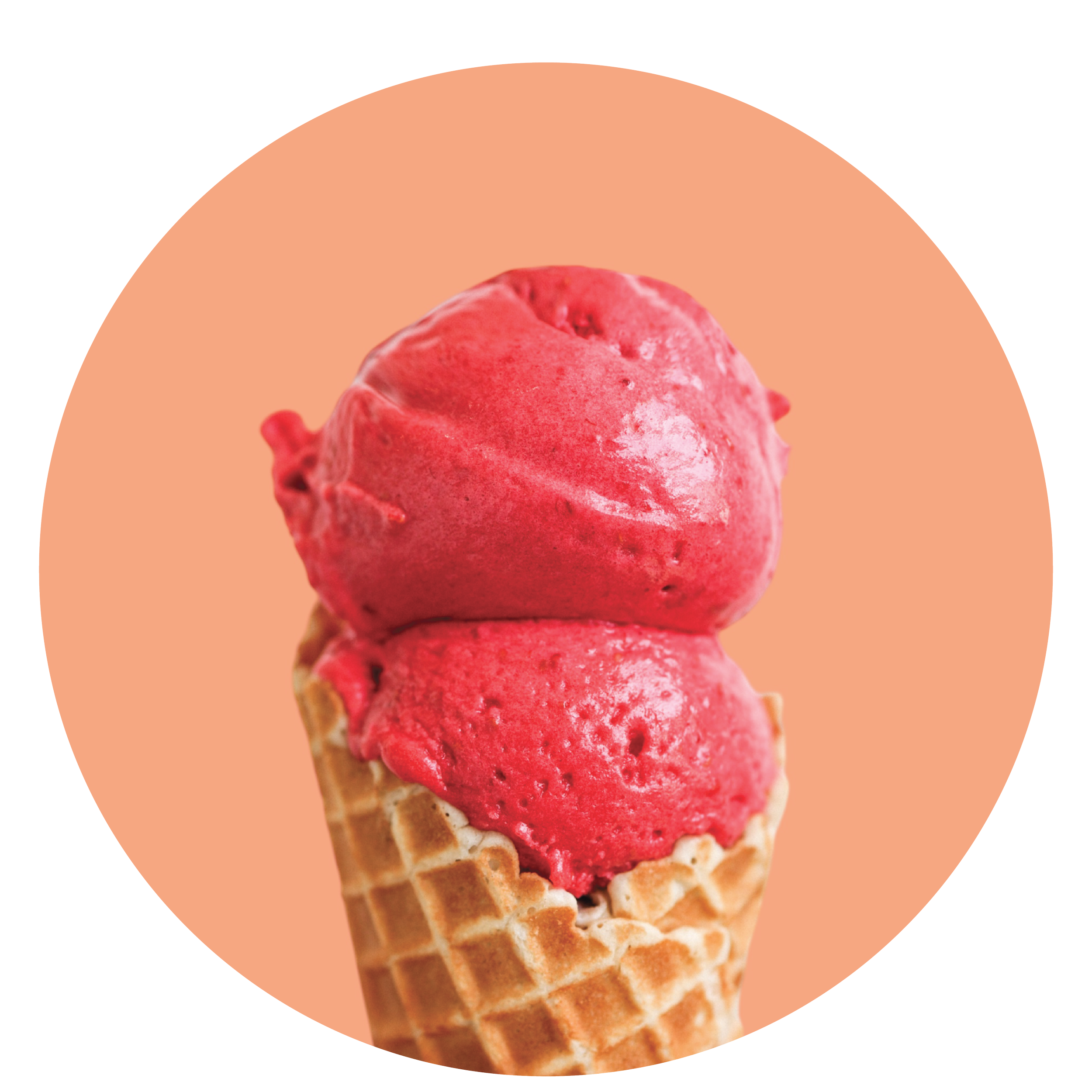 Raspberry Beret Sorbet (Vegan)