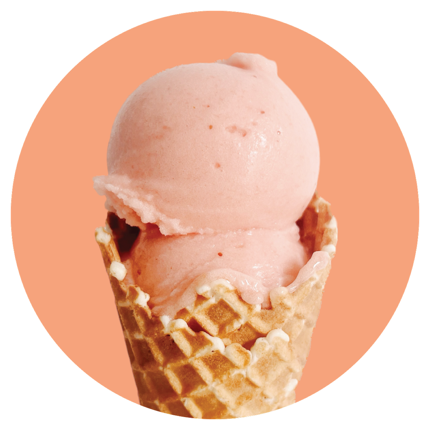 Frose.png