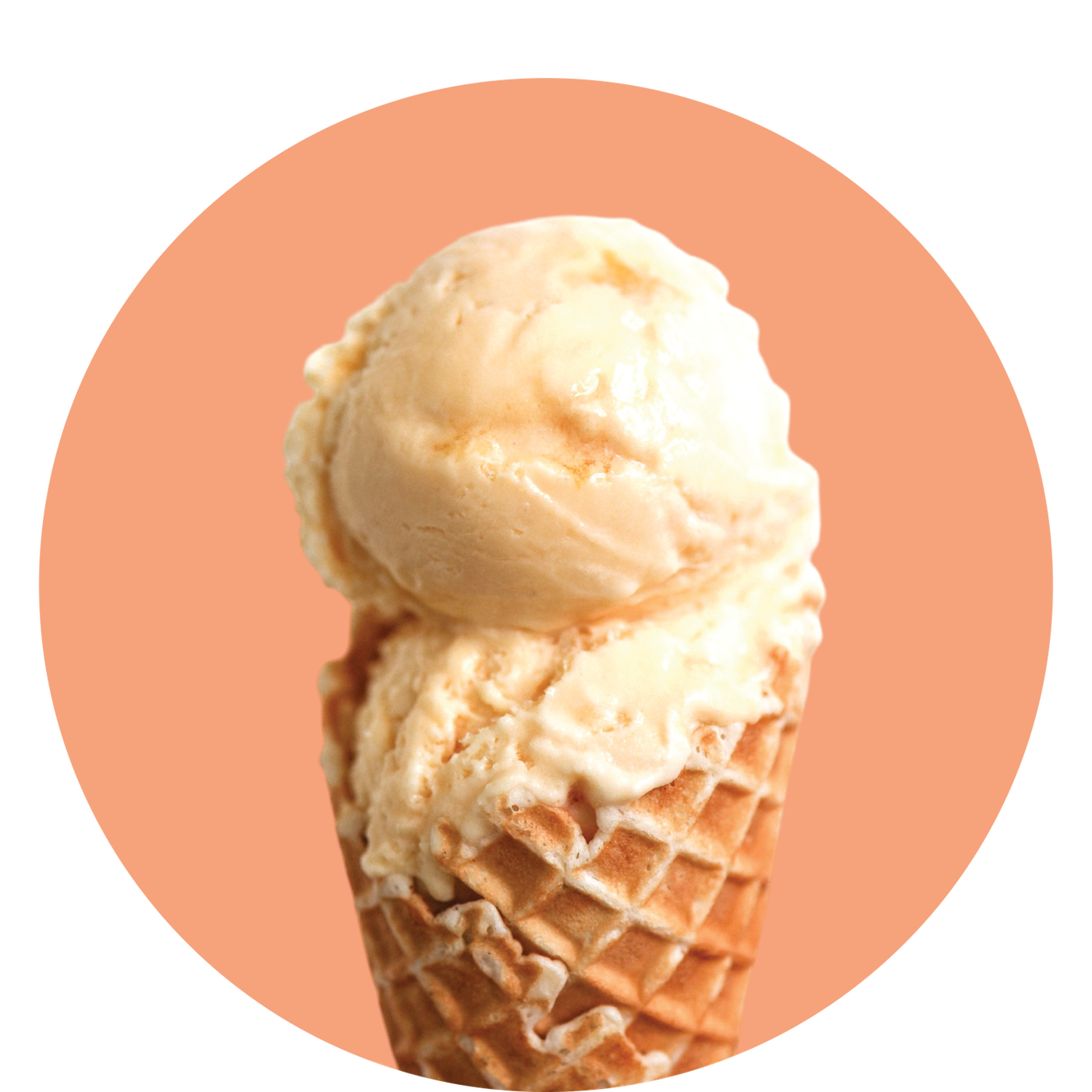 Rose Crème Brûlée.png