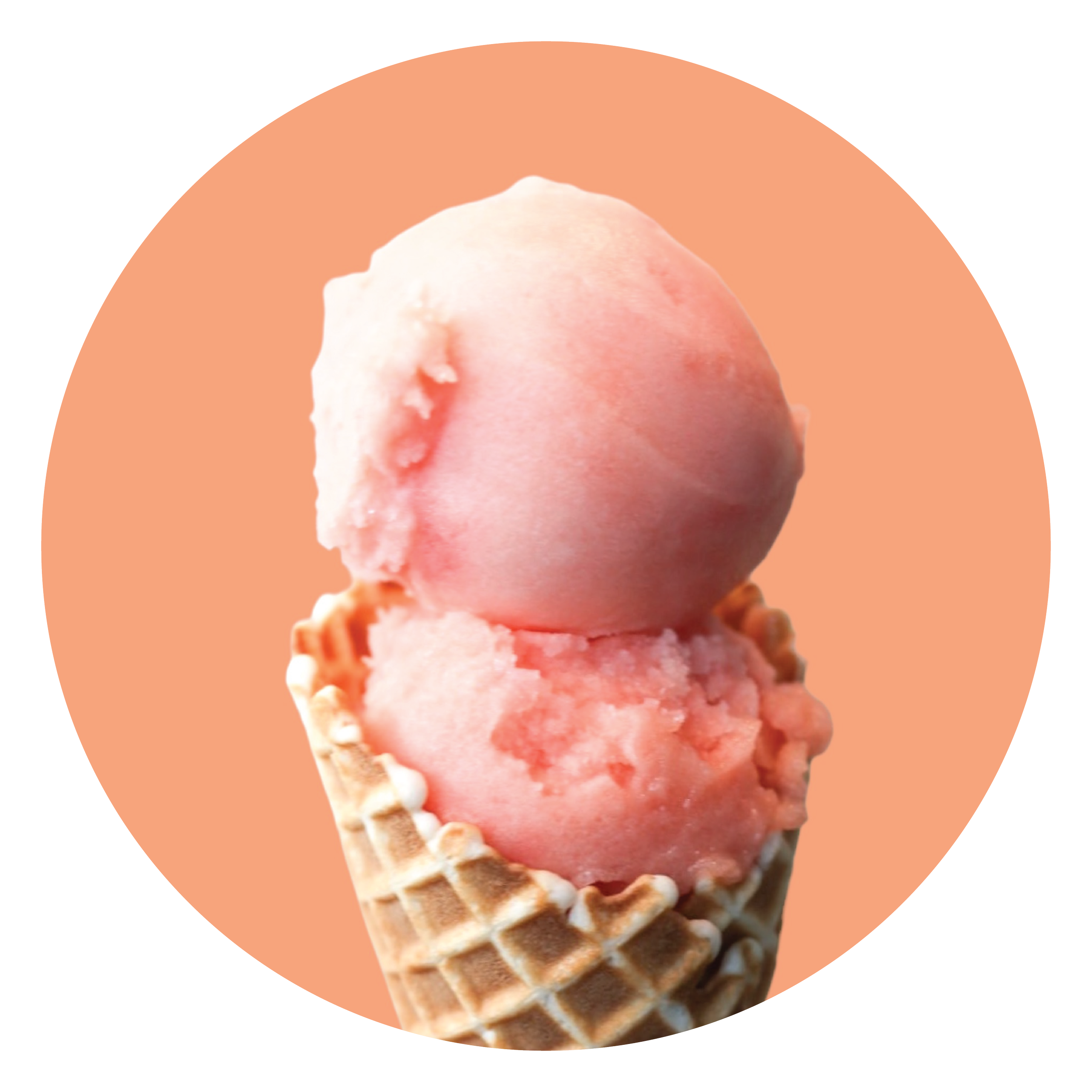 All Flavours APR2026-09.png