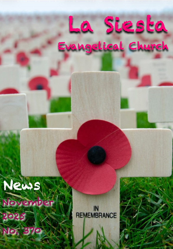 November 2025 Newsletter