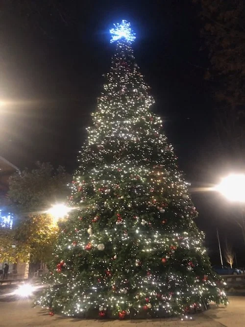 Being the Light—for Yourself and for Others