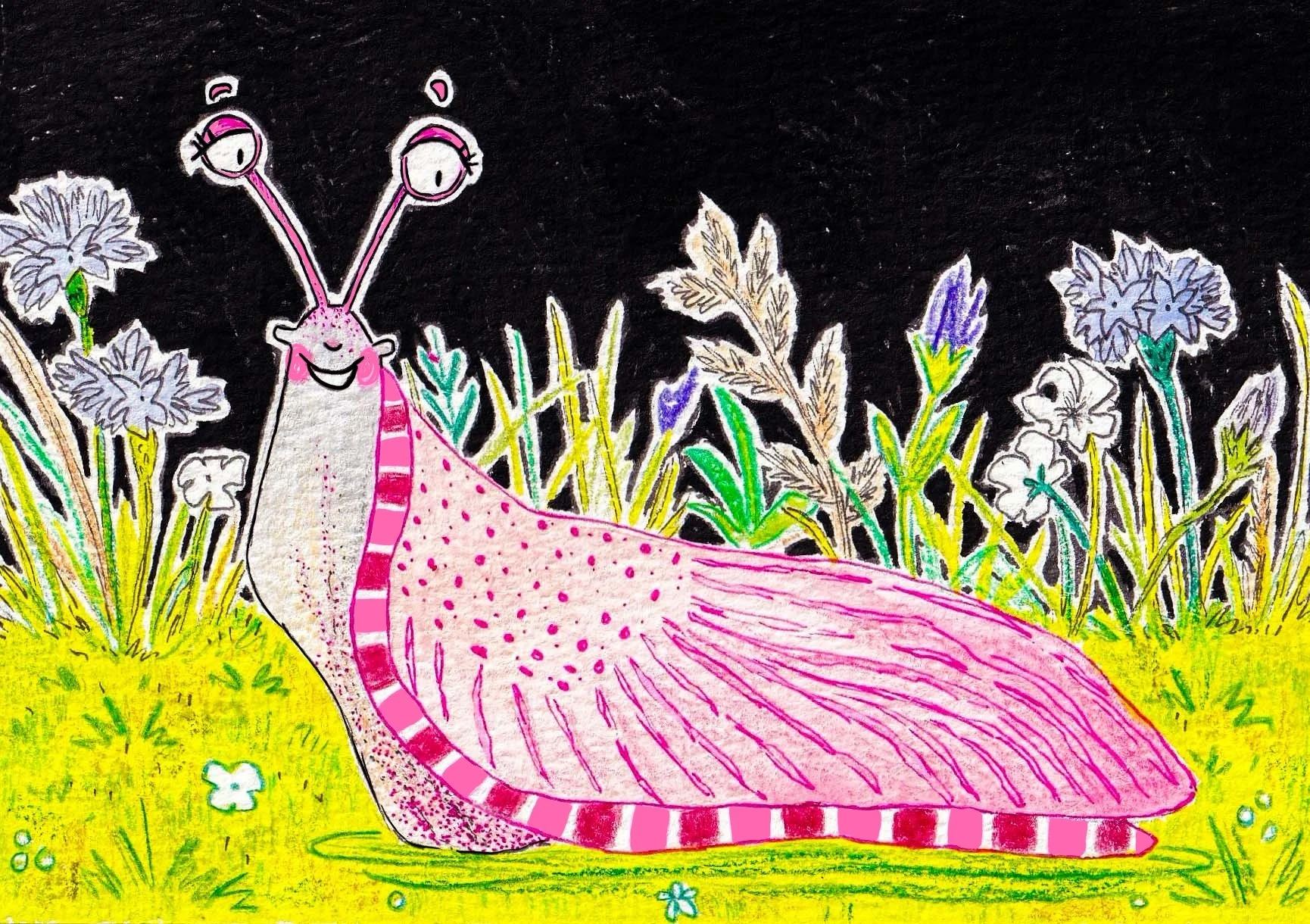 Slug children's book illustration by Hannah Robinson