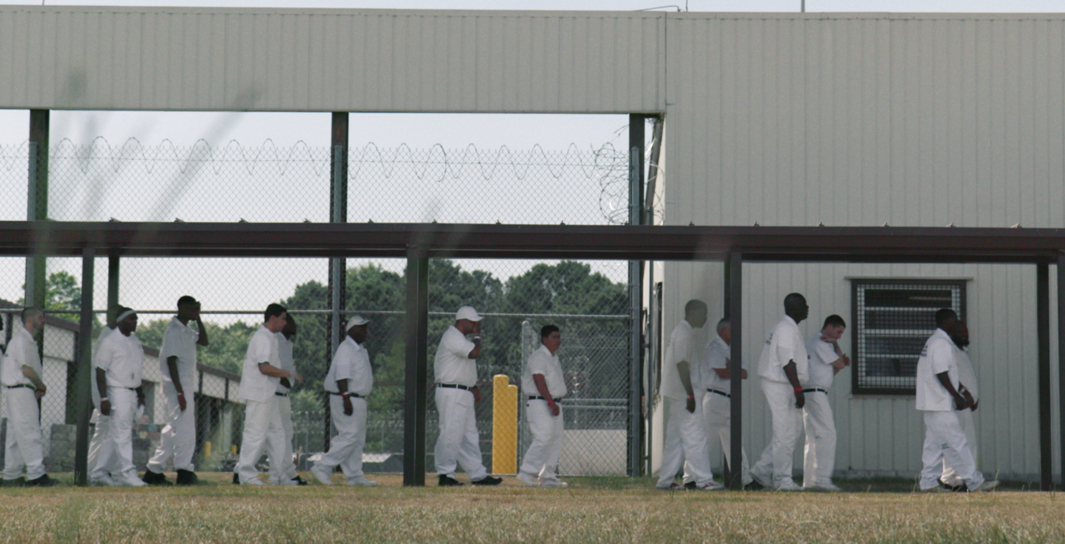 The Legacy of Incarceration with The W.E.B. Du Bois Center, Rural Intelligence, 9 February 2026