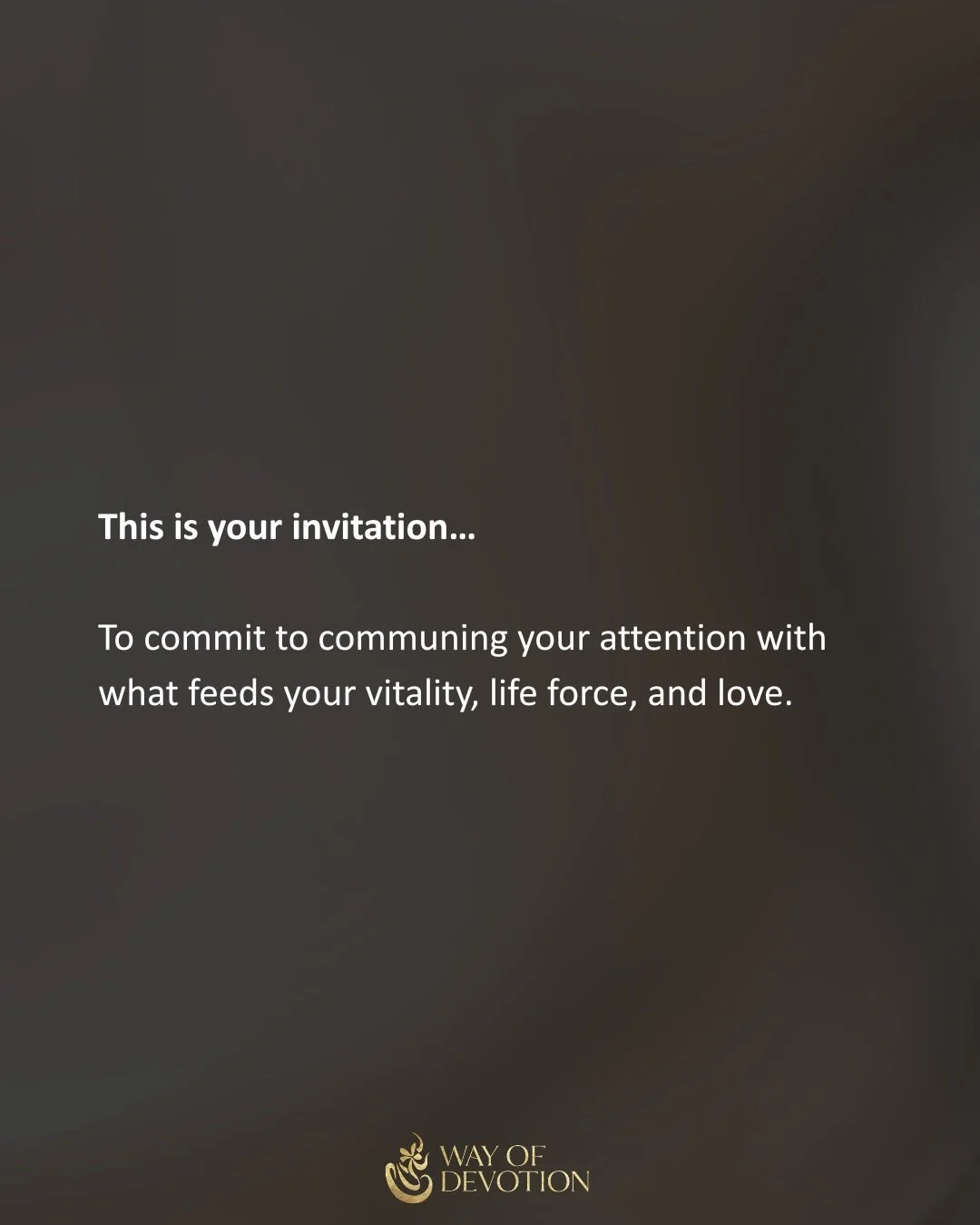 A spring cleaning for your psyche 🌬️

🌺🌸🌺

#wayofdevotion
#commune
#lovedeeper
#springcleaning