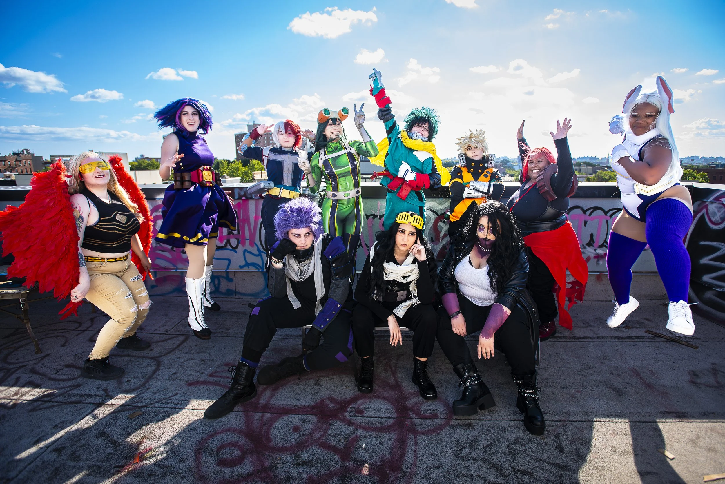 THE MY HERO ACADEMIA PROJECT