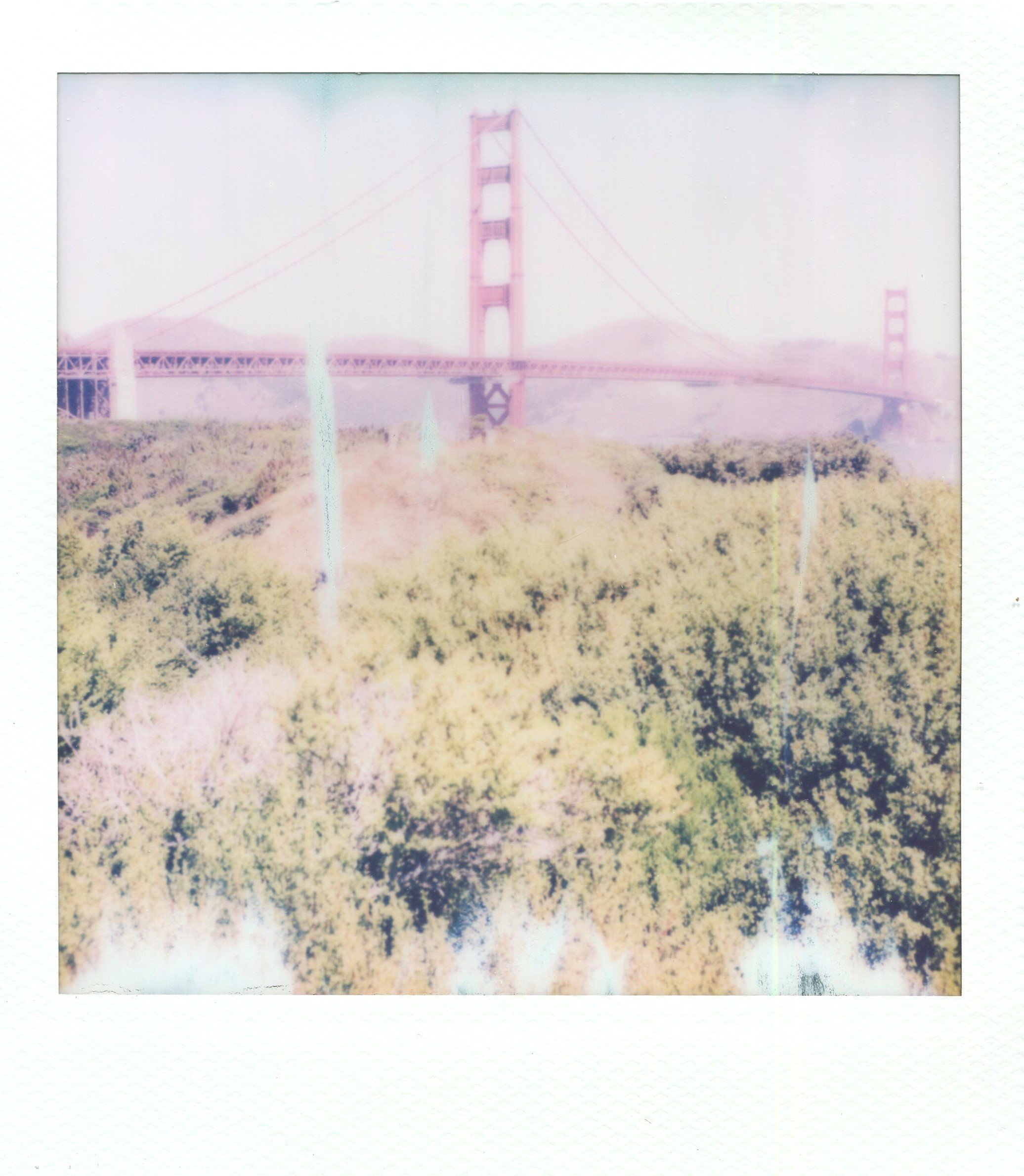 San Francisco | Polaroid Film | 2024