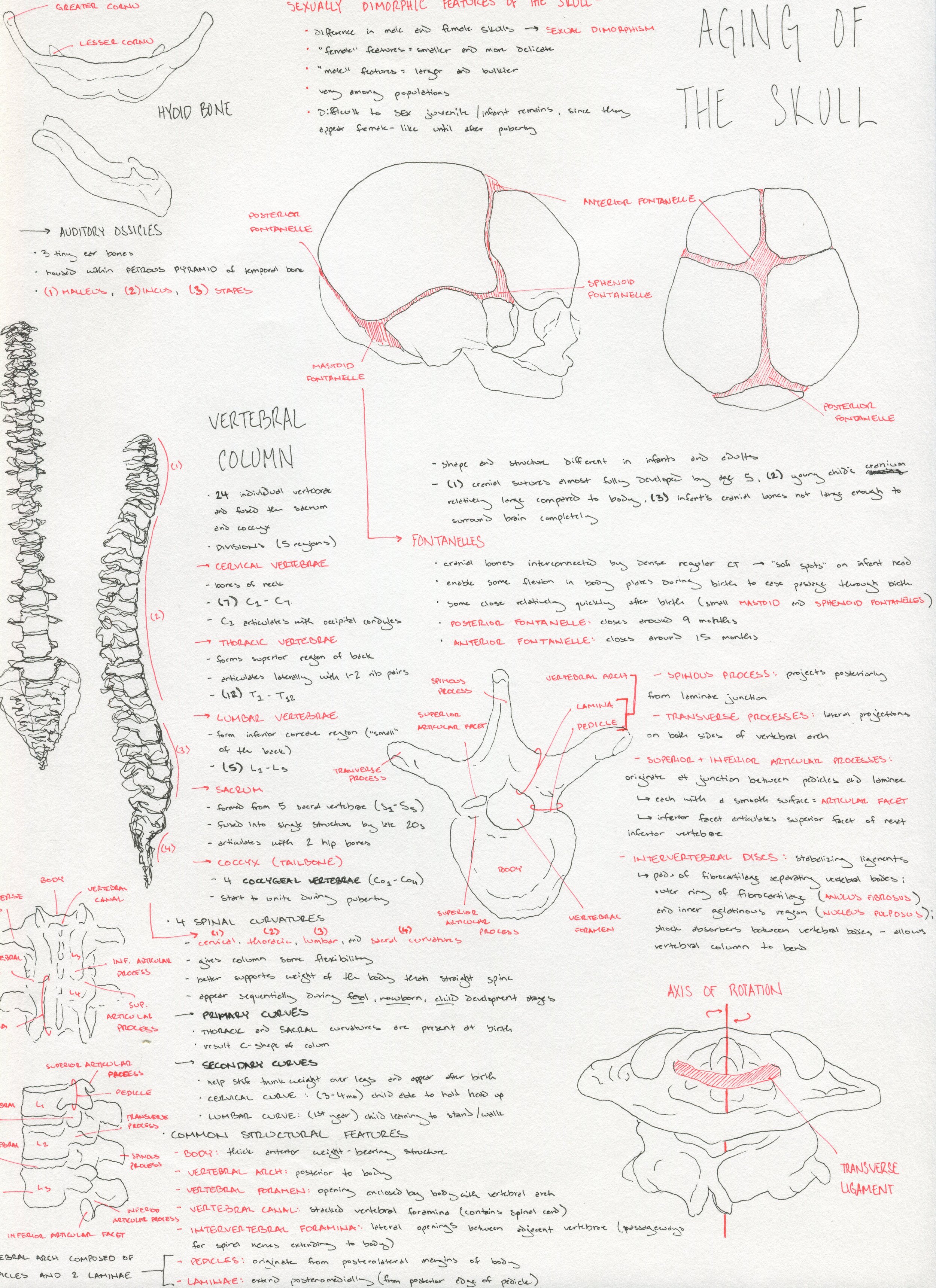 No. 30